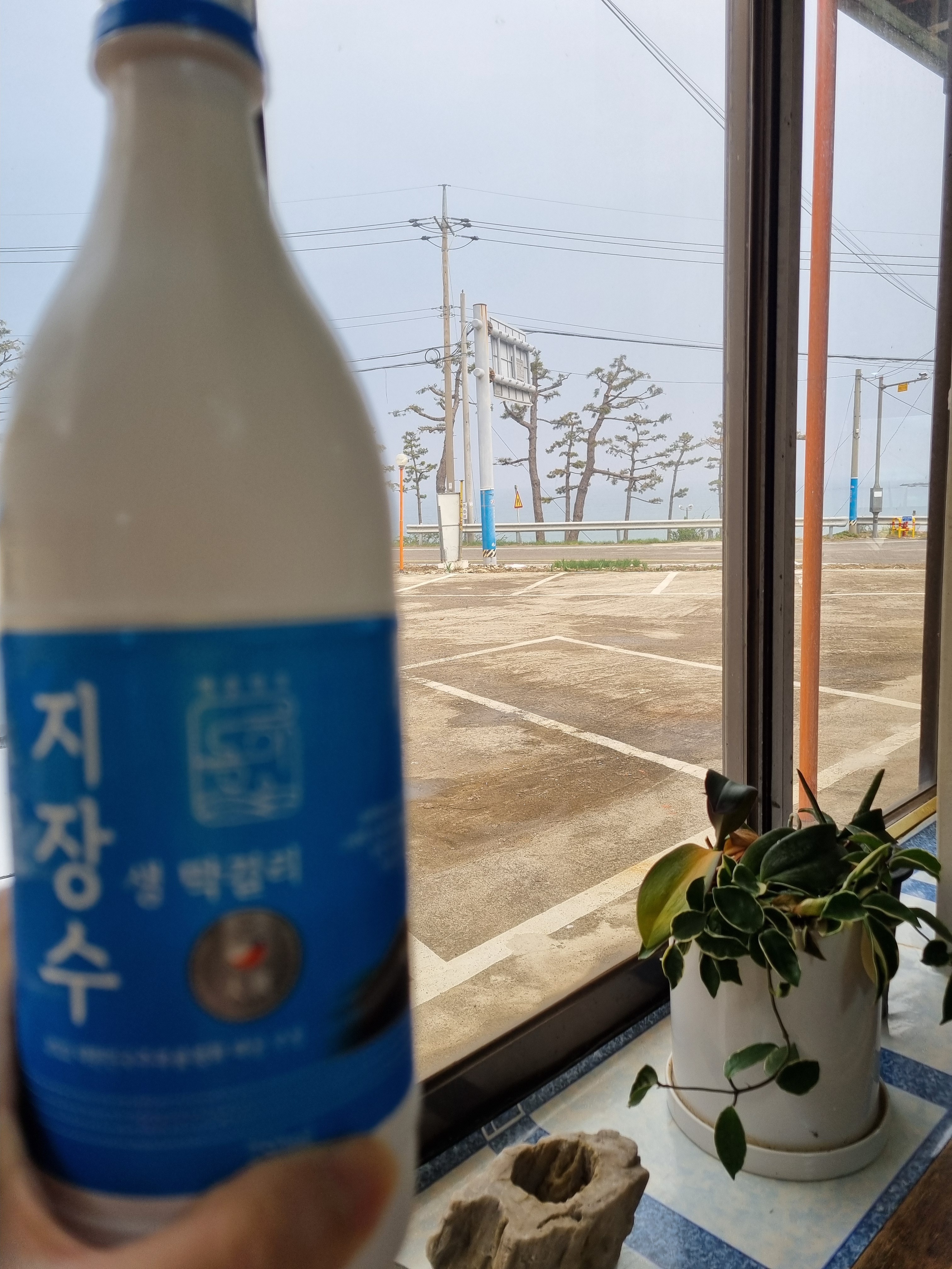 식당 창밖으로 보이는 바다 풍경과 함께 놓인 막걸리 병