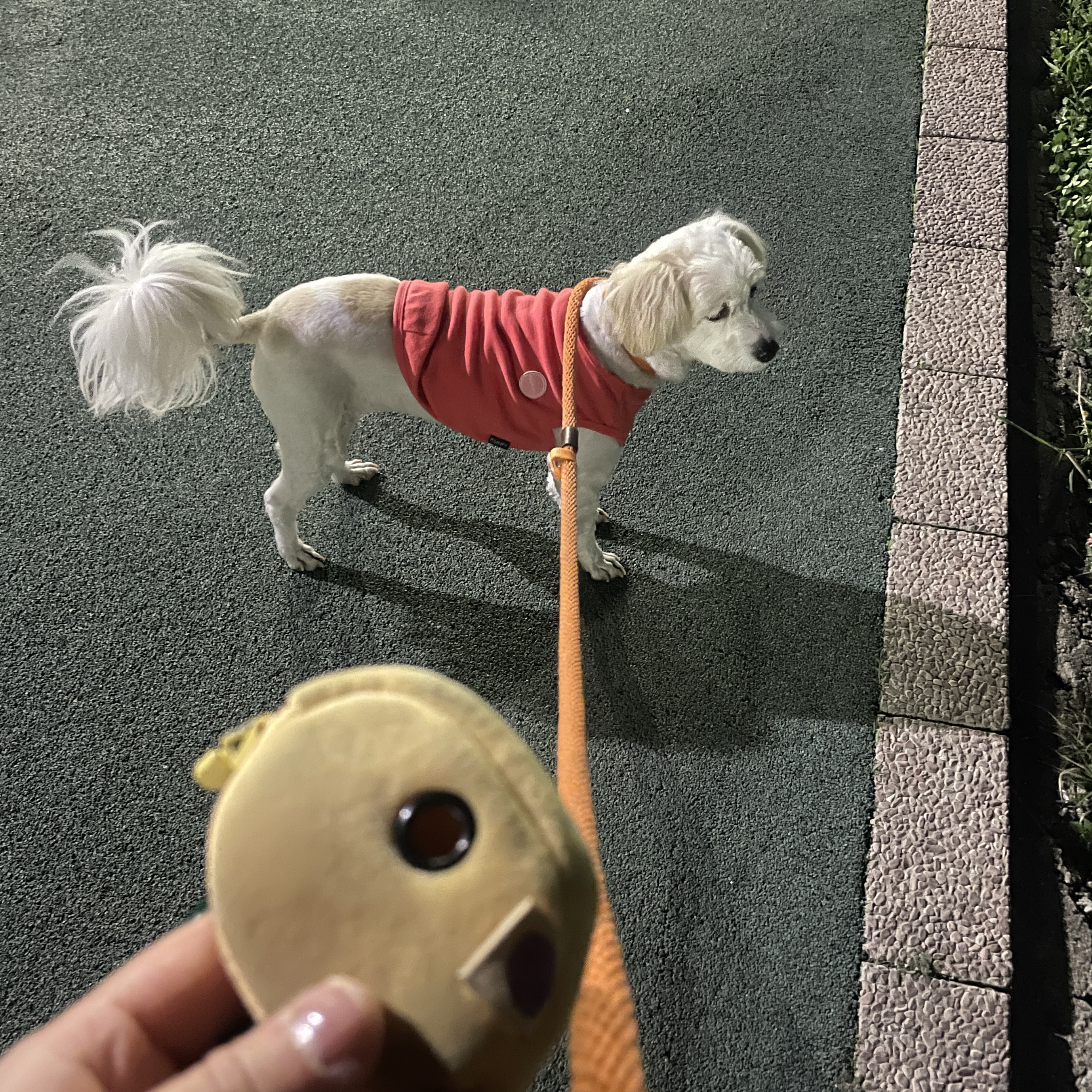 리뷰 사진 1