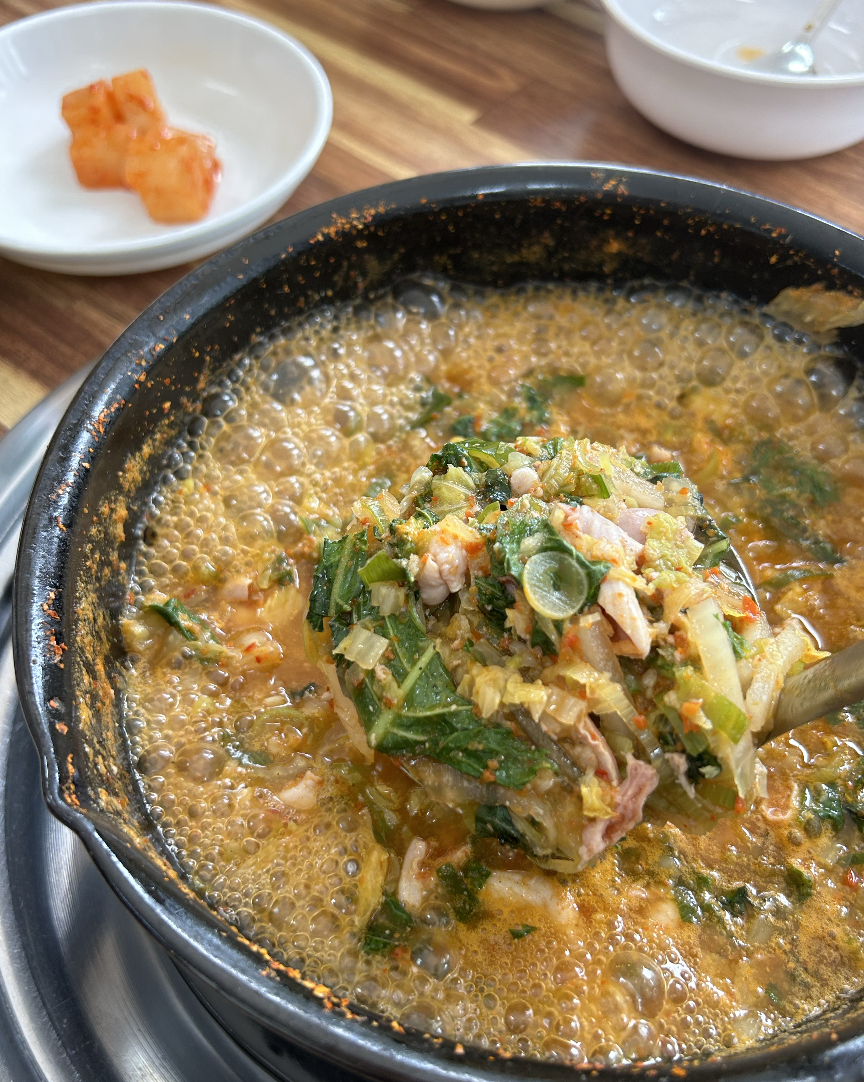 [강릉 맛집 송은닭내장] 직접 가본 로컬 리뷰