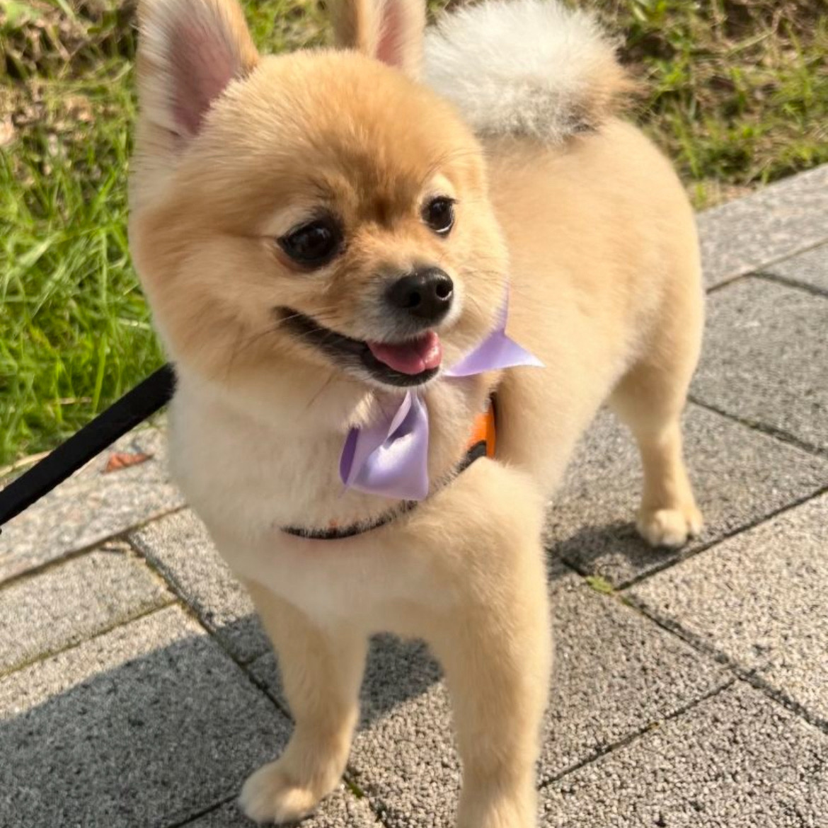 리뷰 사진 1