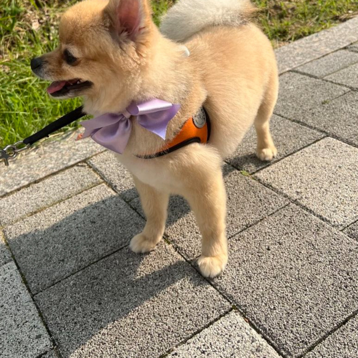 리뷰 사진 2