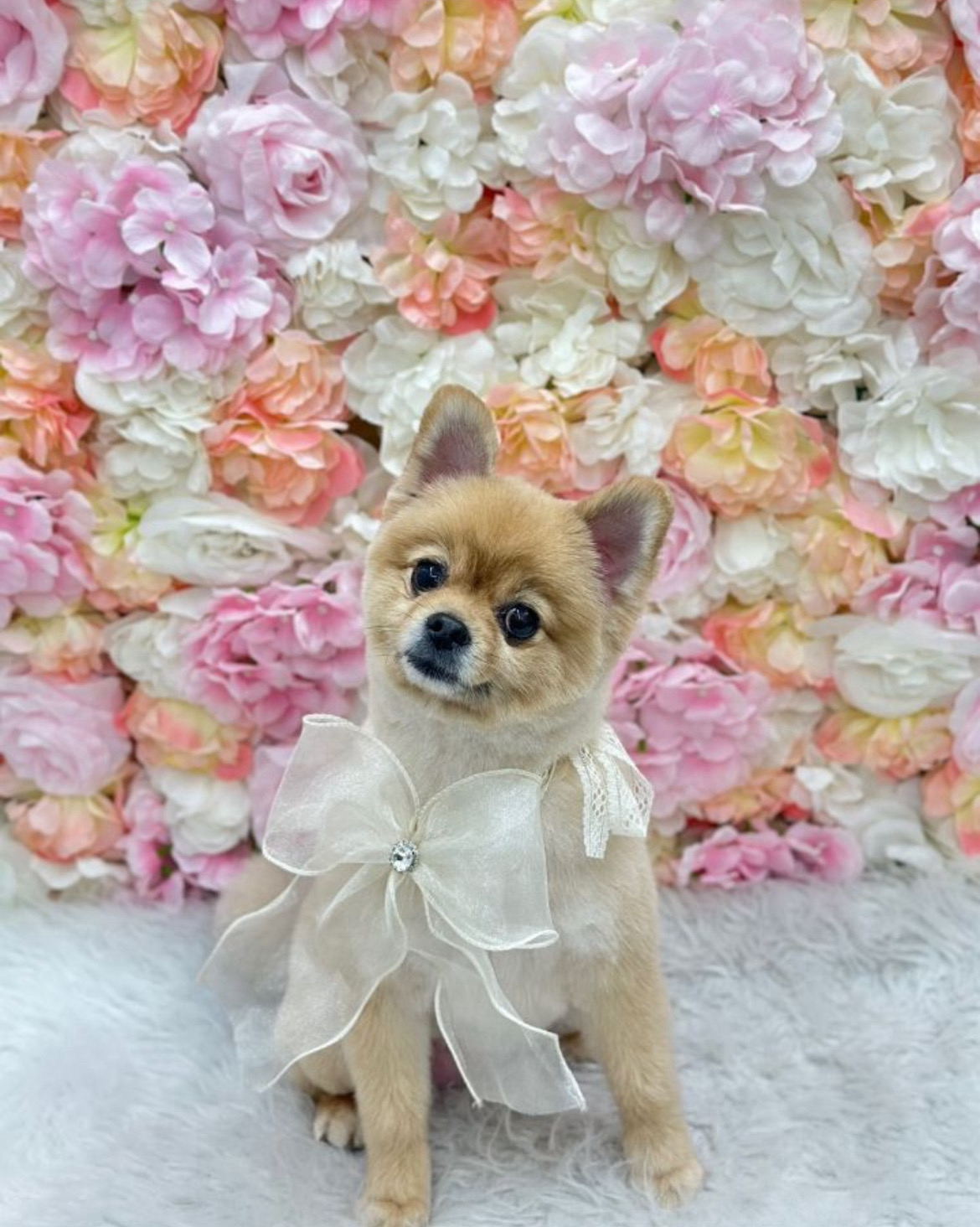 리뷰 사진 6