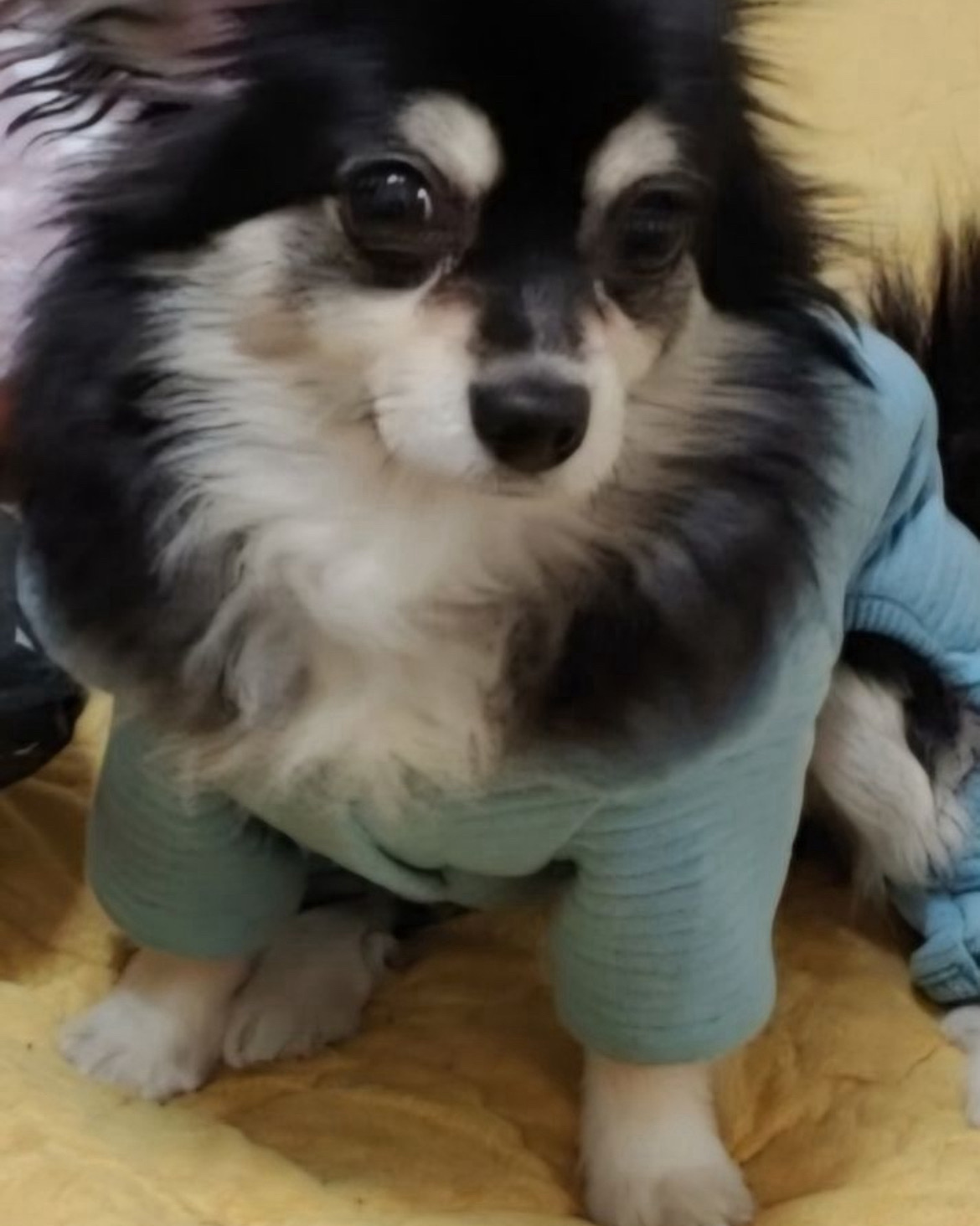 리뷰 사진 1