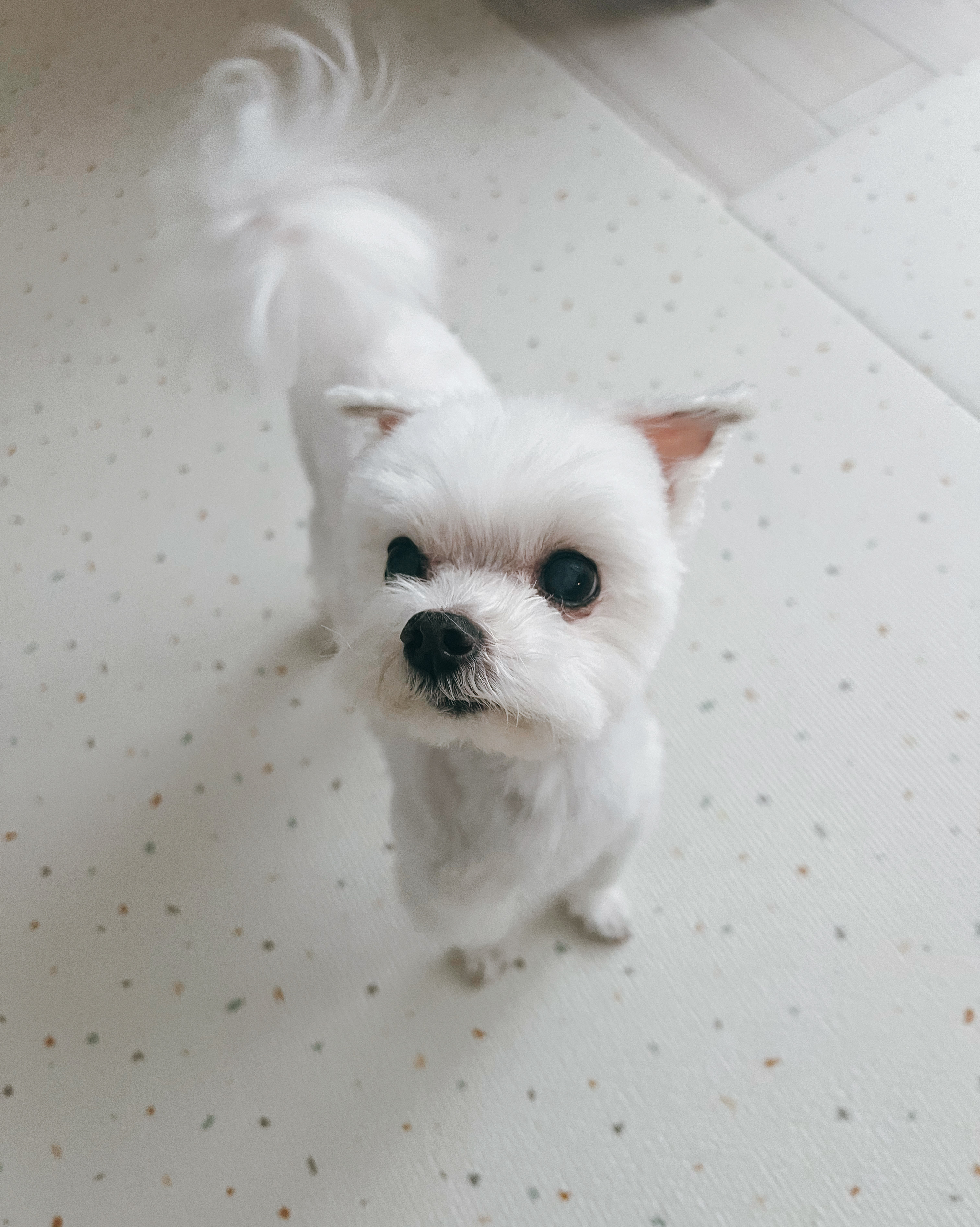 리뷰 사진 1