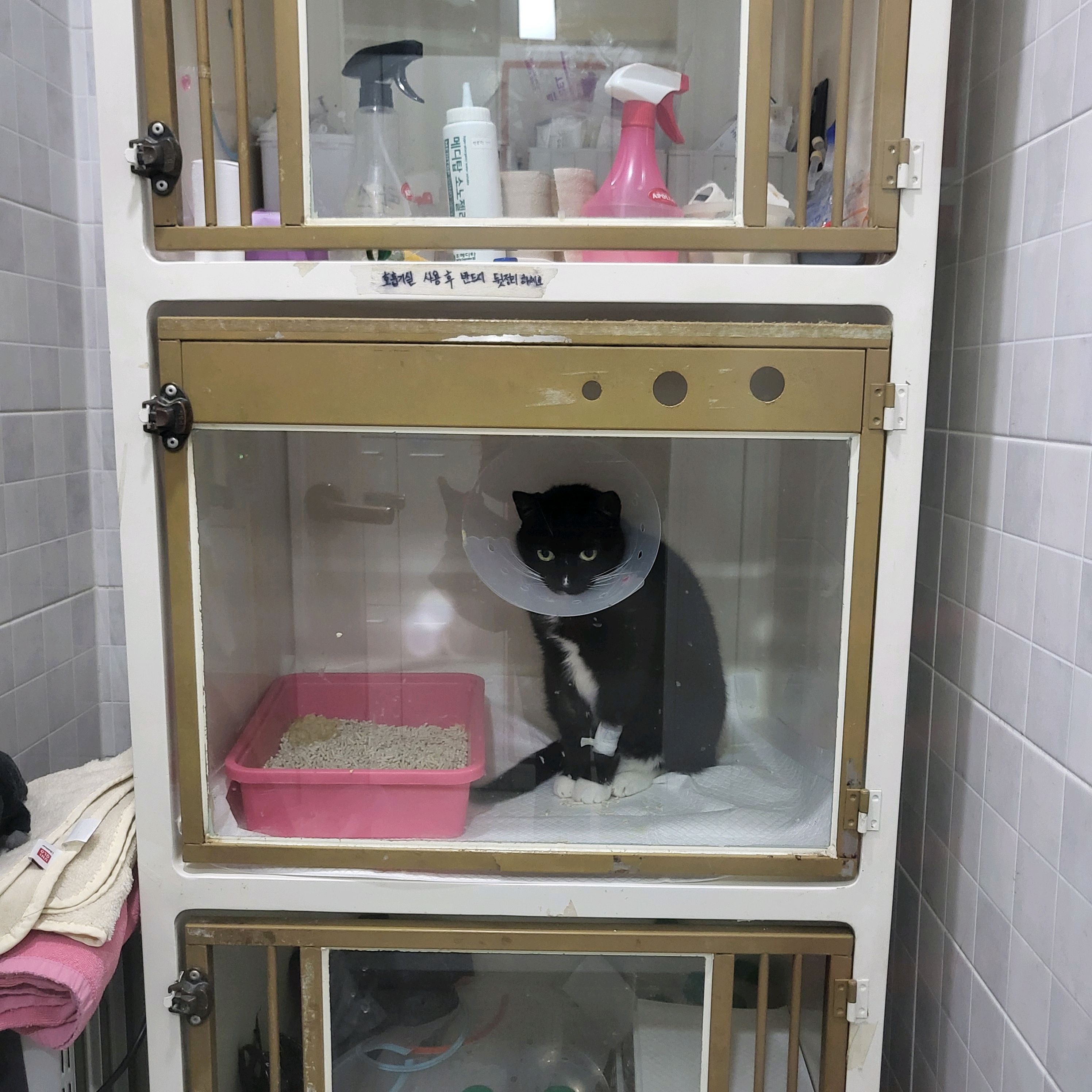 리뷰 사진 1
