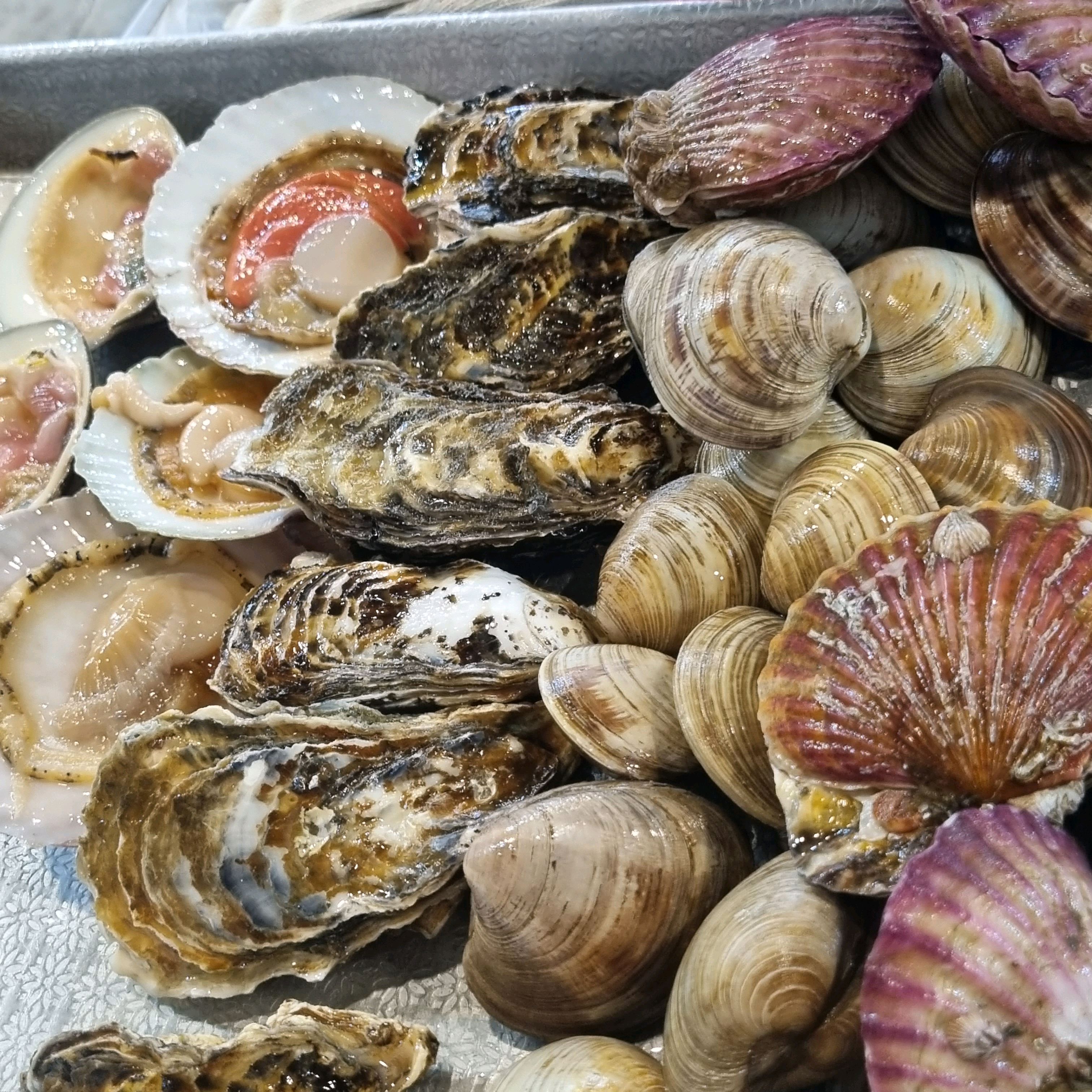 삼척에 얼마없는 조개구이+회 무한리필 식당이에용! 무한리필이라서 양이 적게적게 나올 줄