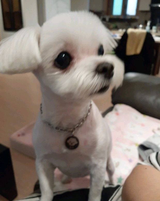 리뷰 사진 1