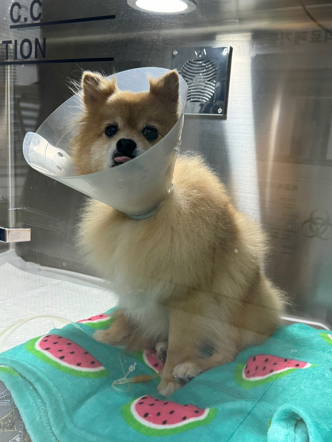 리뷰 사진 3
