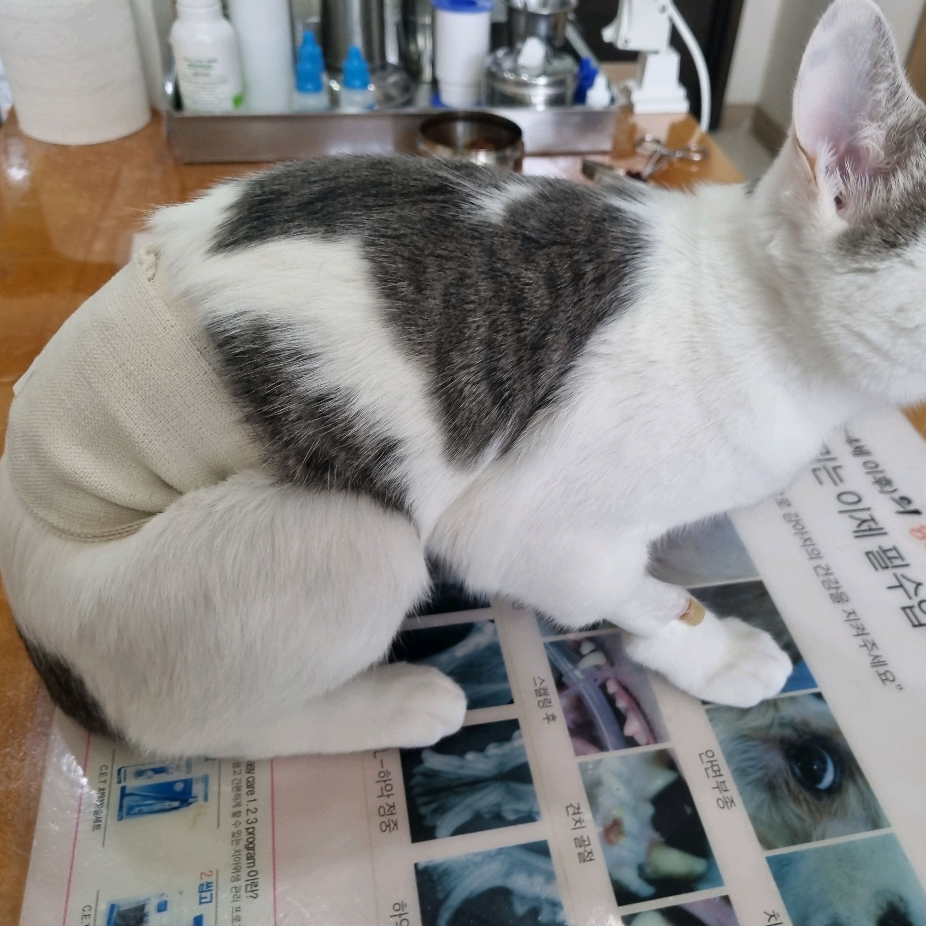 리뷰 사진 1