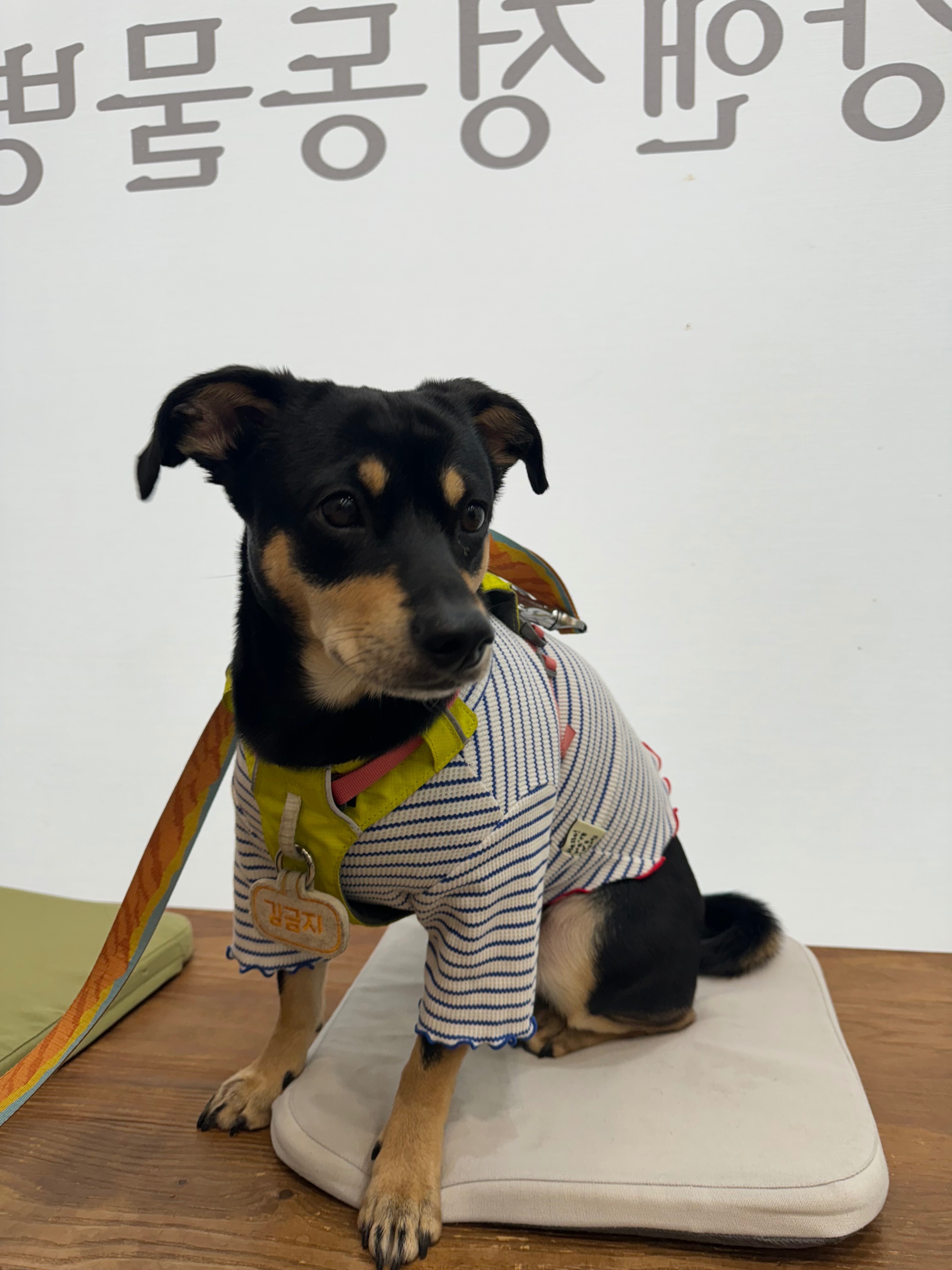 리뷰 사진 1