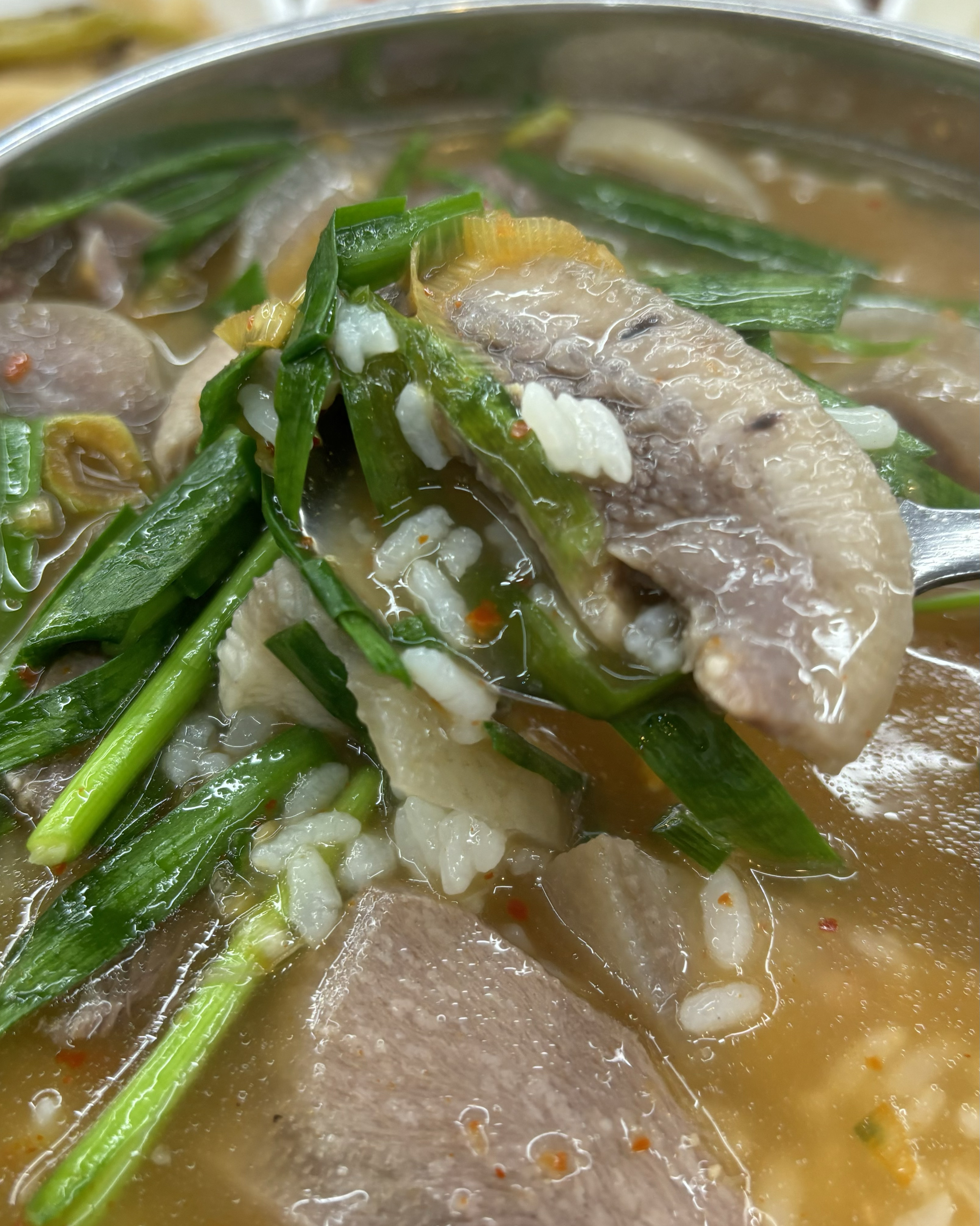 [부산역 맛집 괴정집 괴정돼지국밥&머리수육] 직접 가본 로컬 리뷰