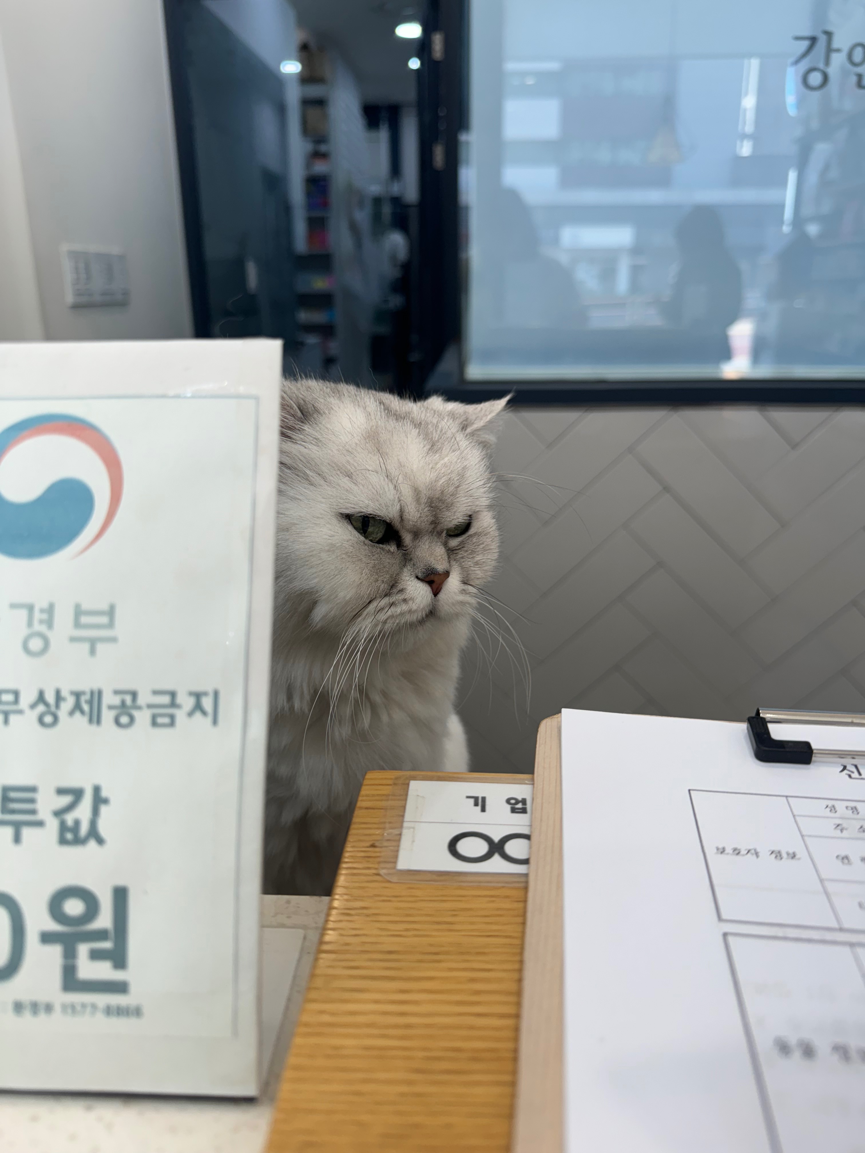 리뷰 사진 2