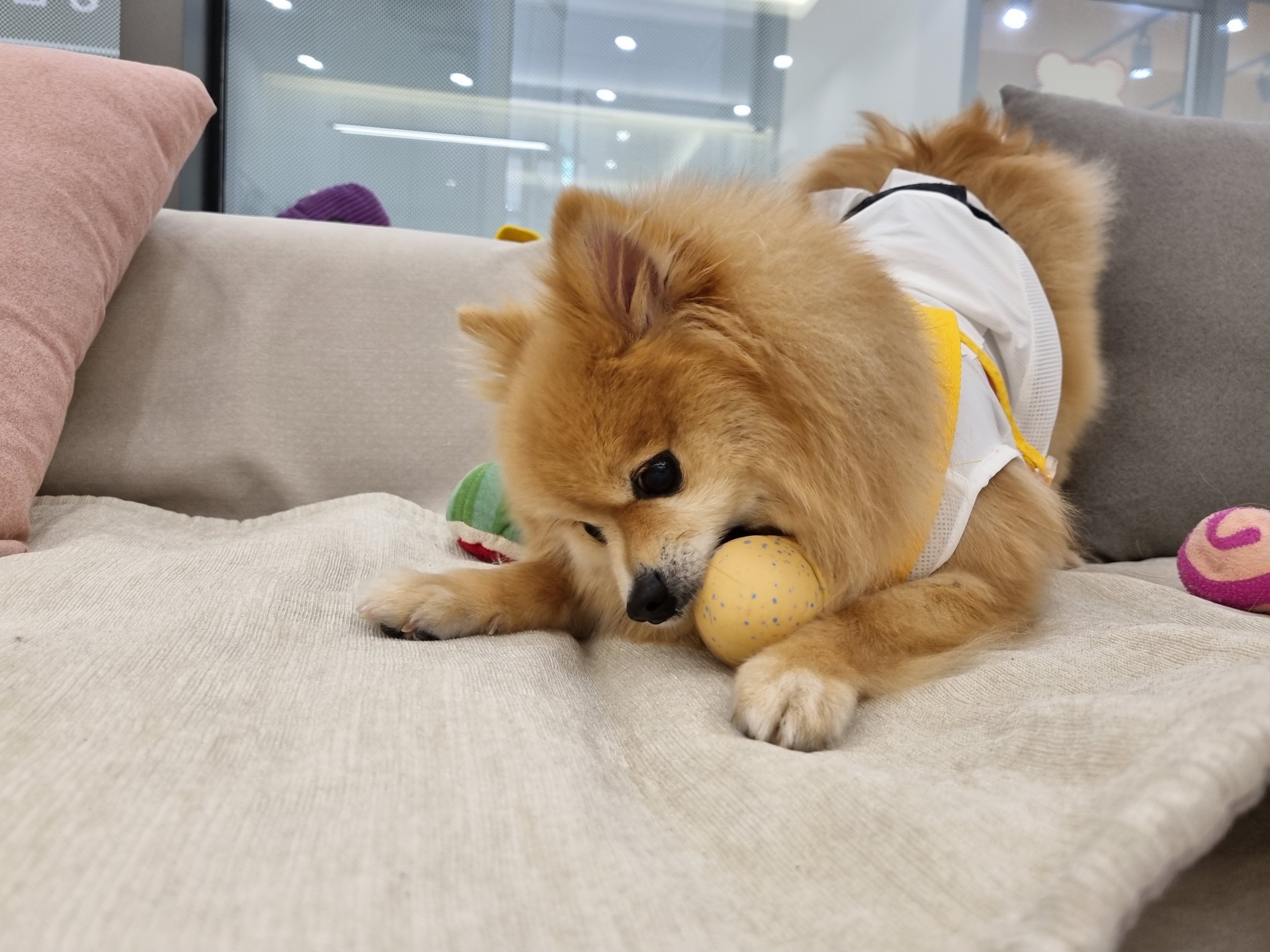 리뷰 사진 2