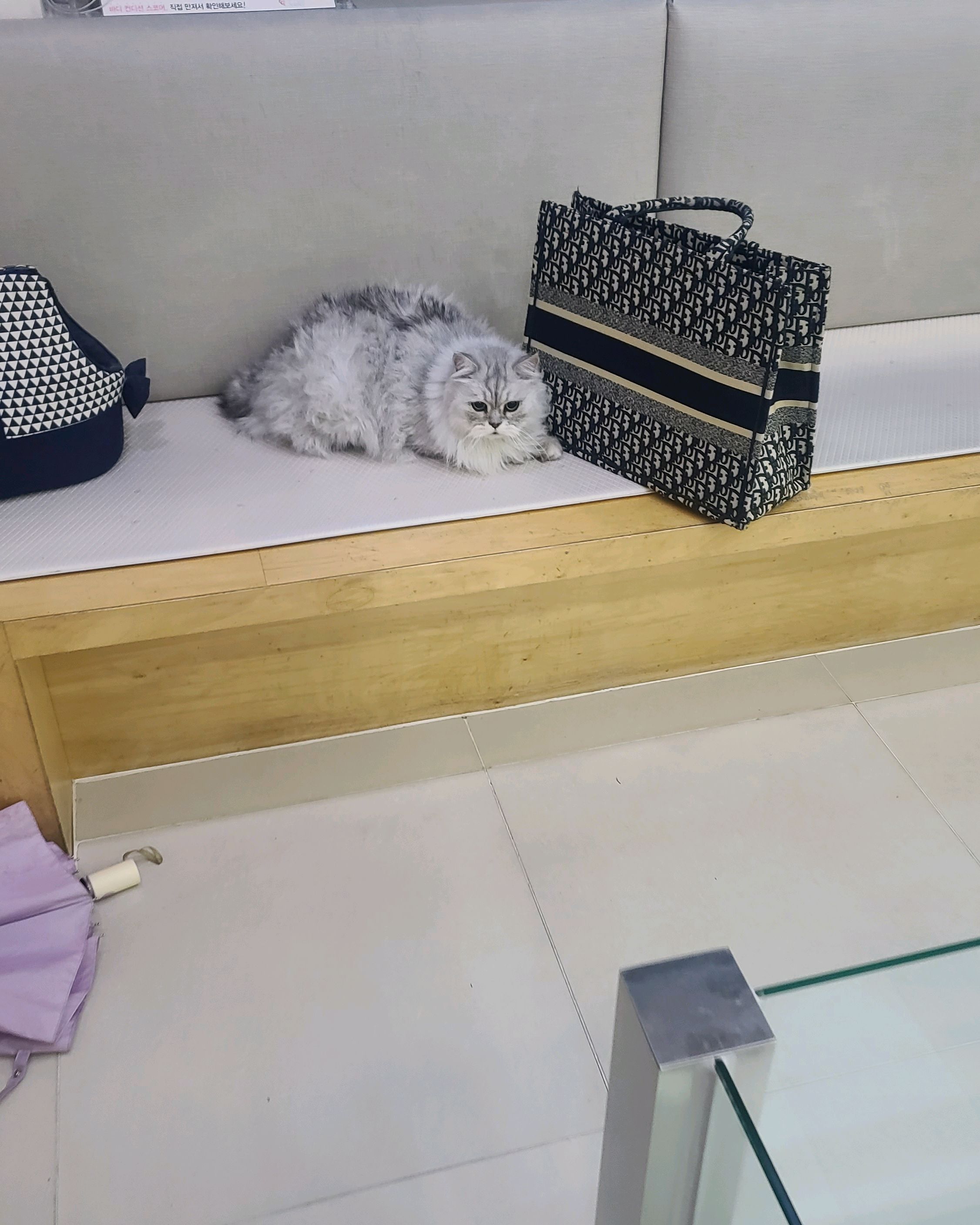 리뷰 사진 15