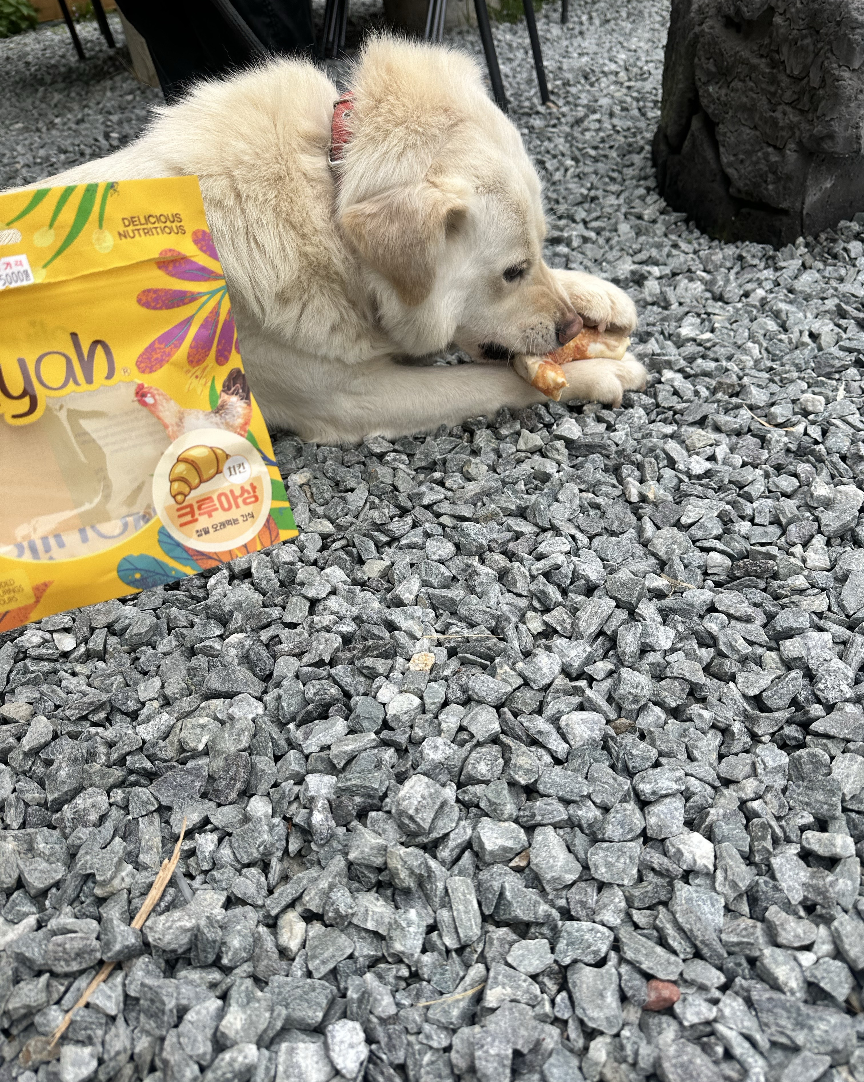 리뷰 사진 1