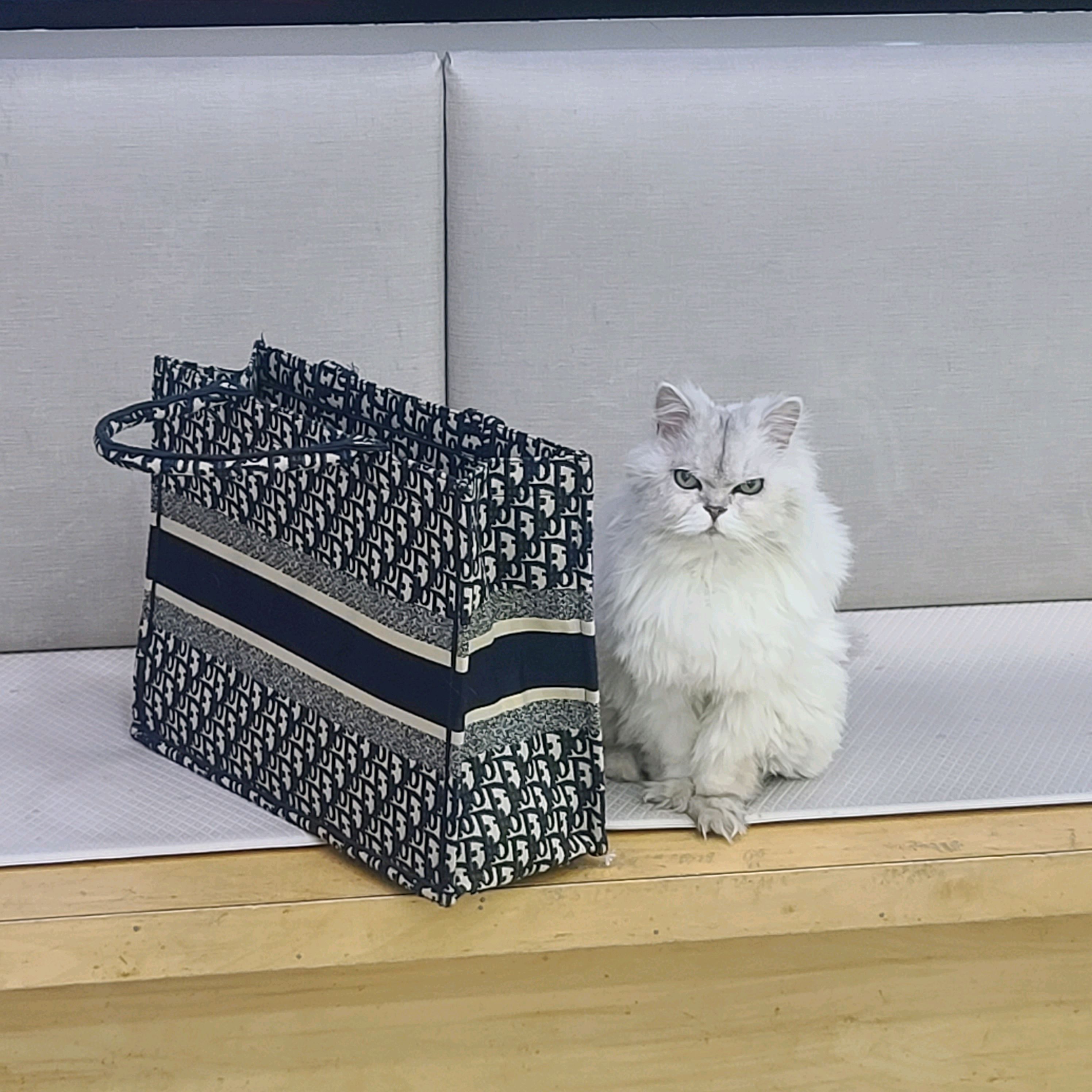 리뷰 사진 11