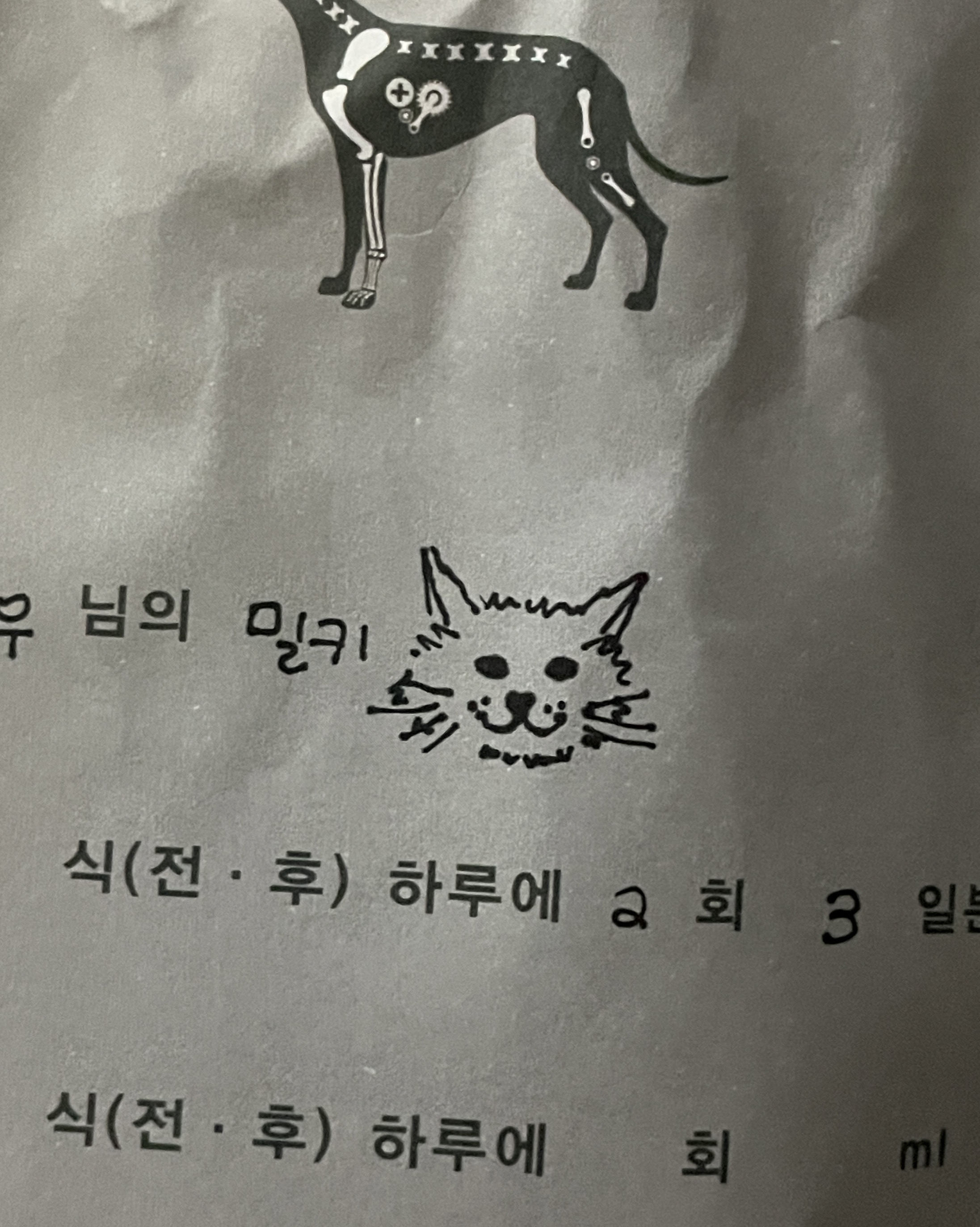 리뷰 사진 1
