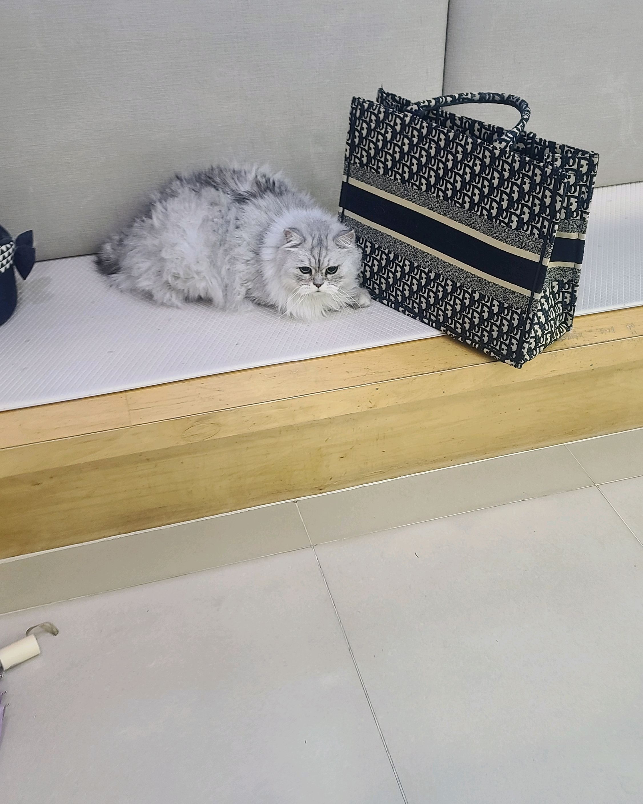 리뷰 사진 14