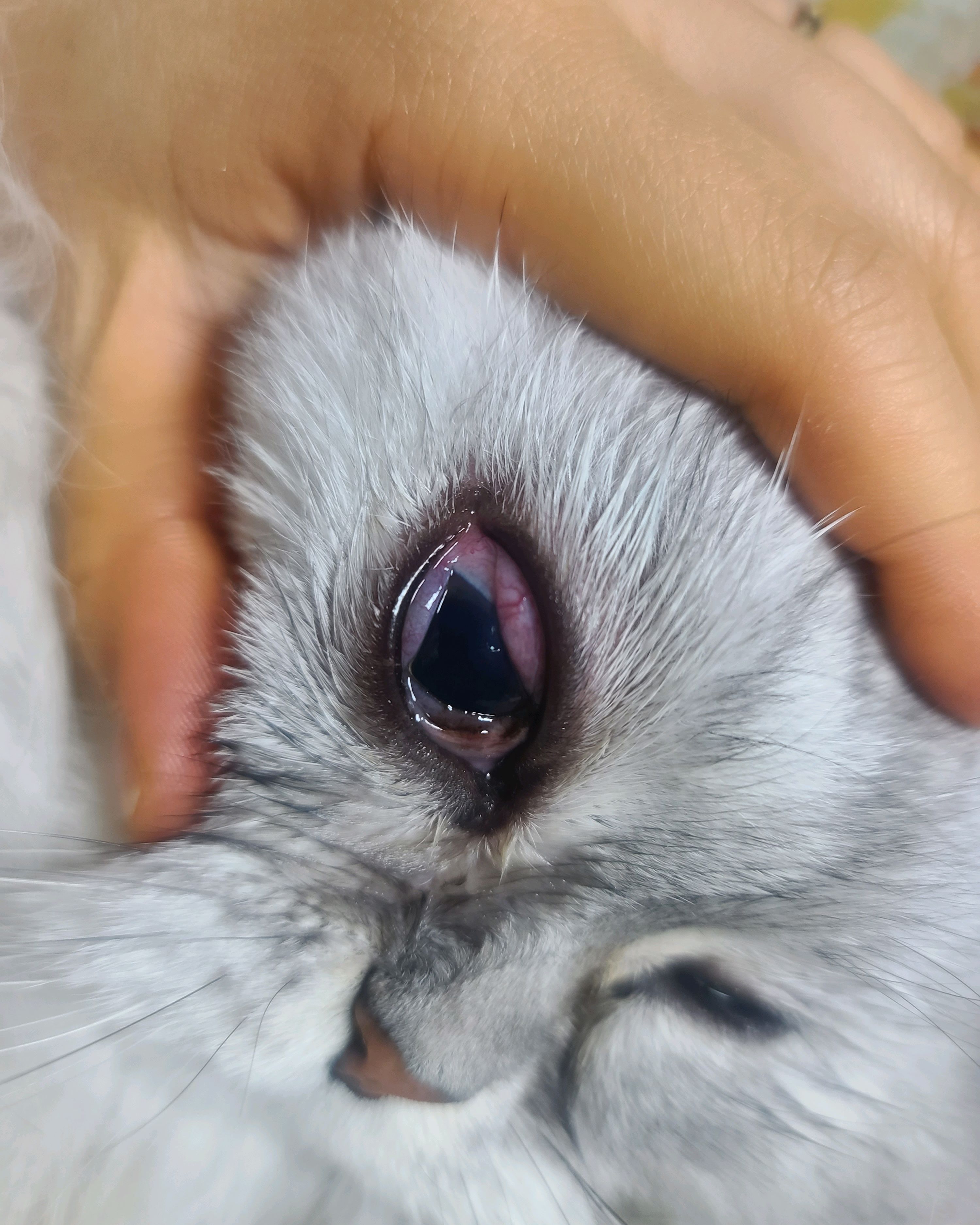 리뷰 사진 2