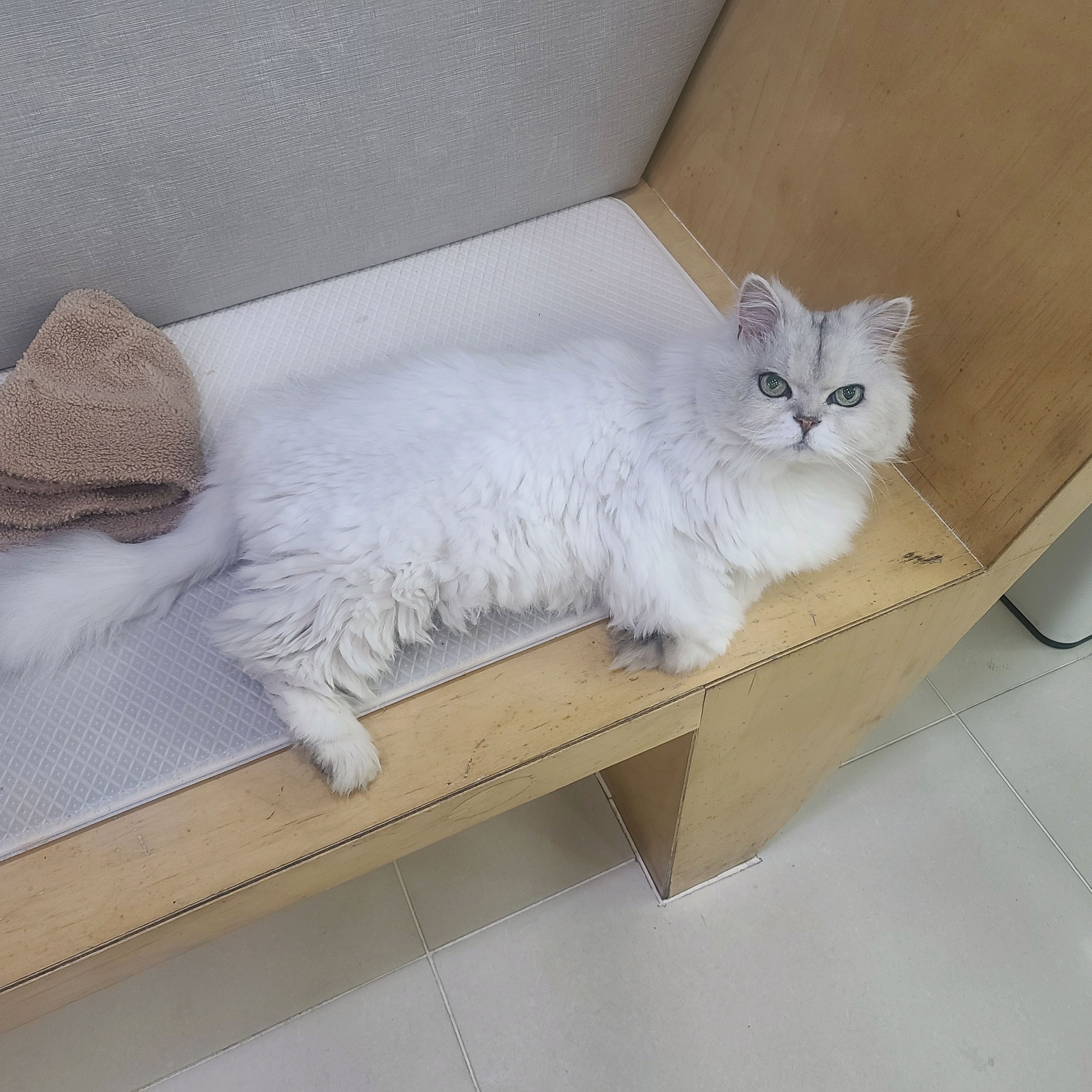 리뷰 사진 5