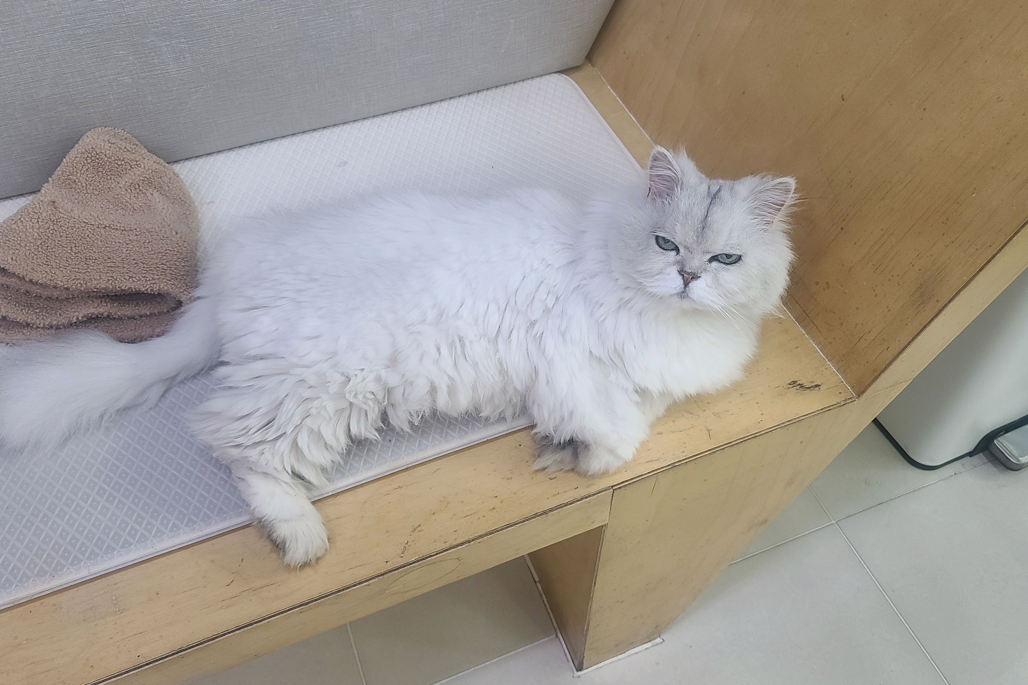 리뷰 사진 6
