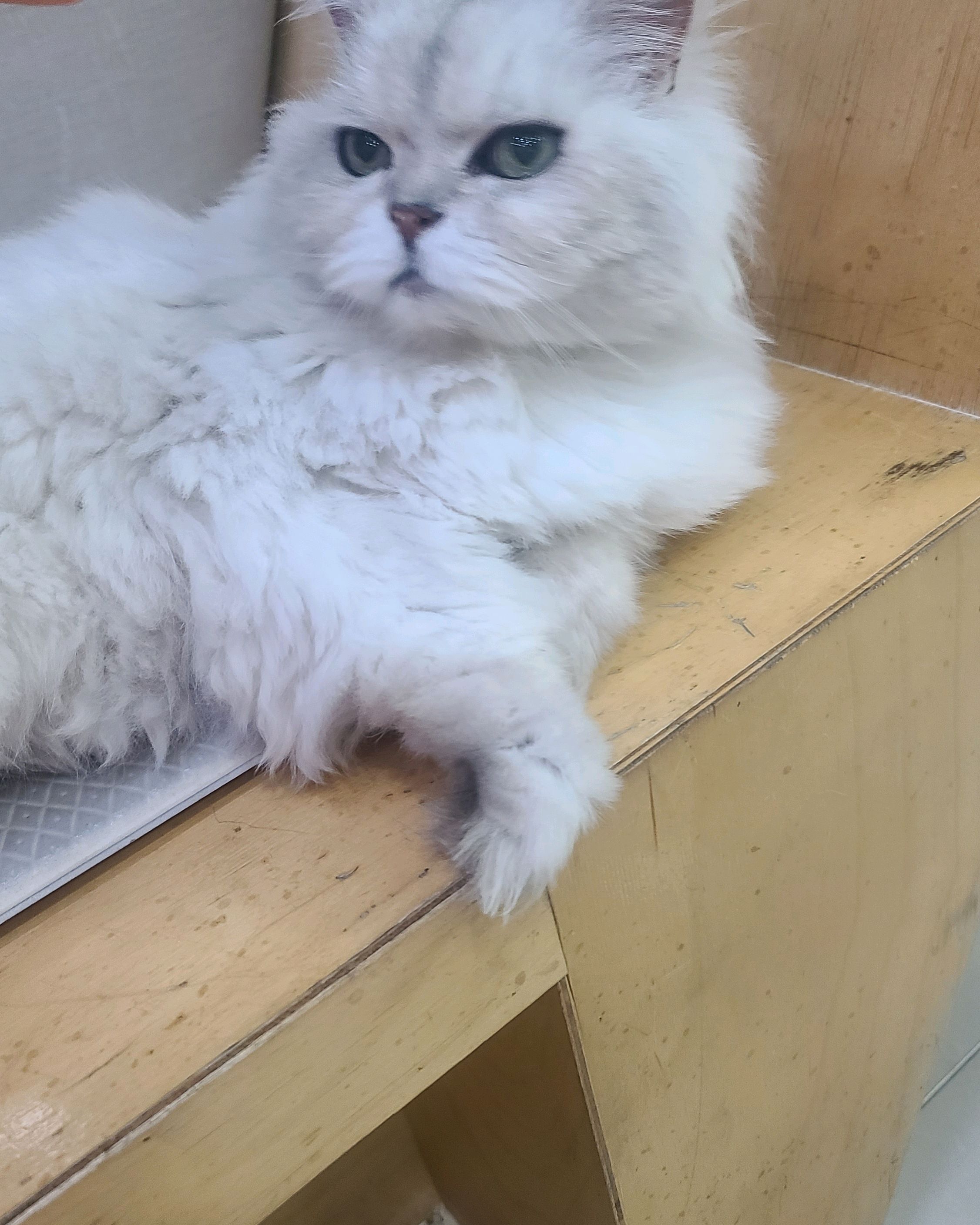 리뷰 사진 9