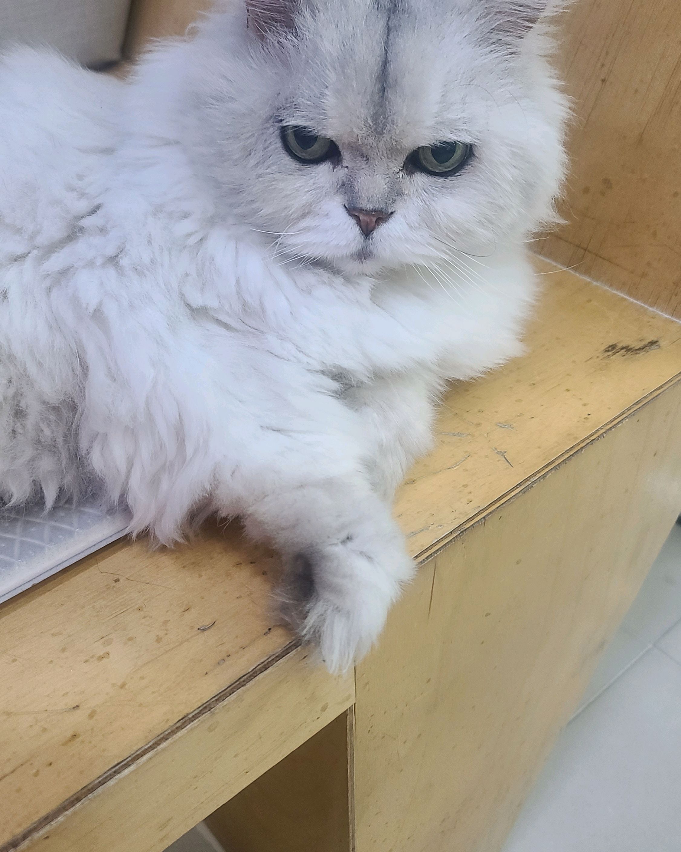리뷰 사진 11