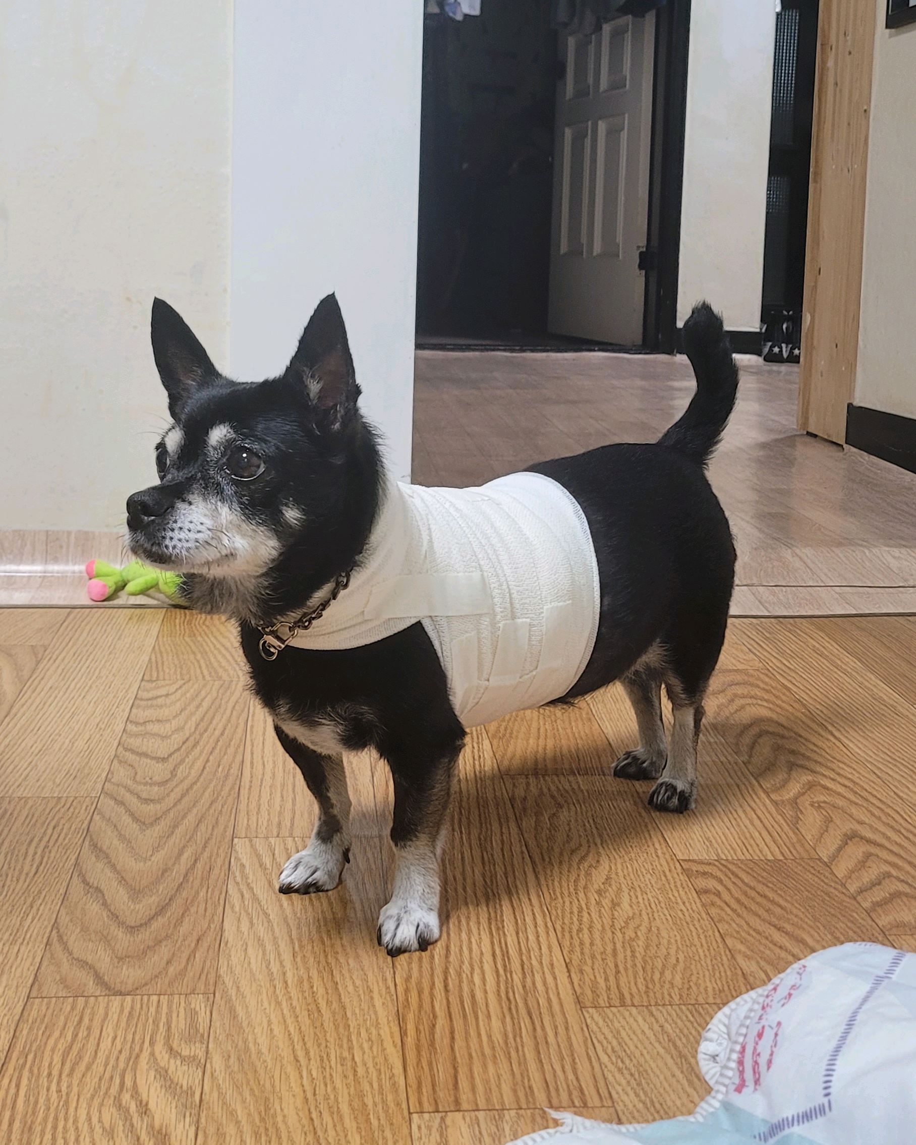 리뷰 사진 2