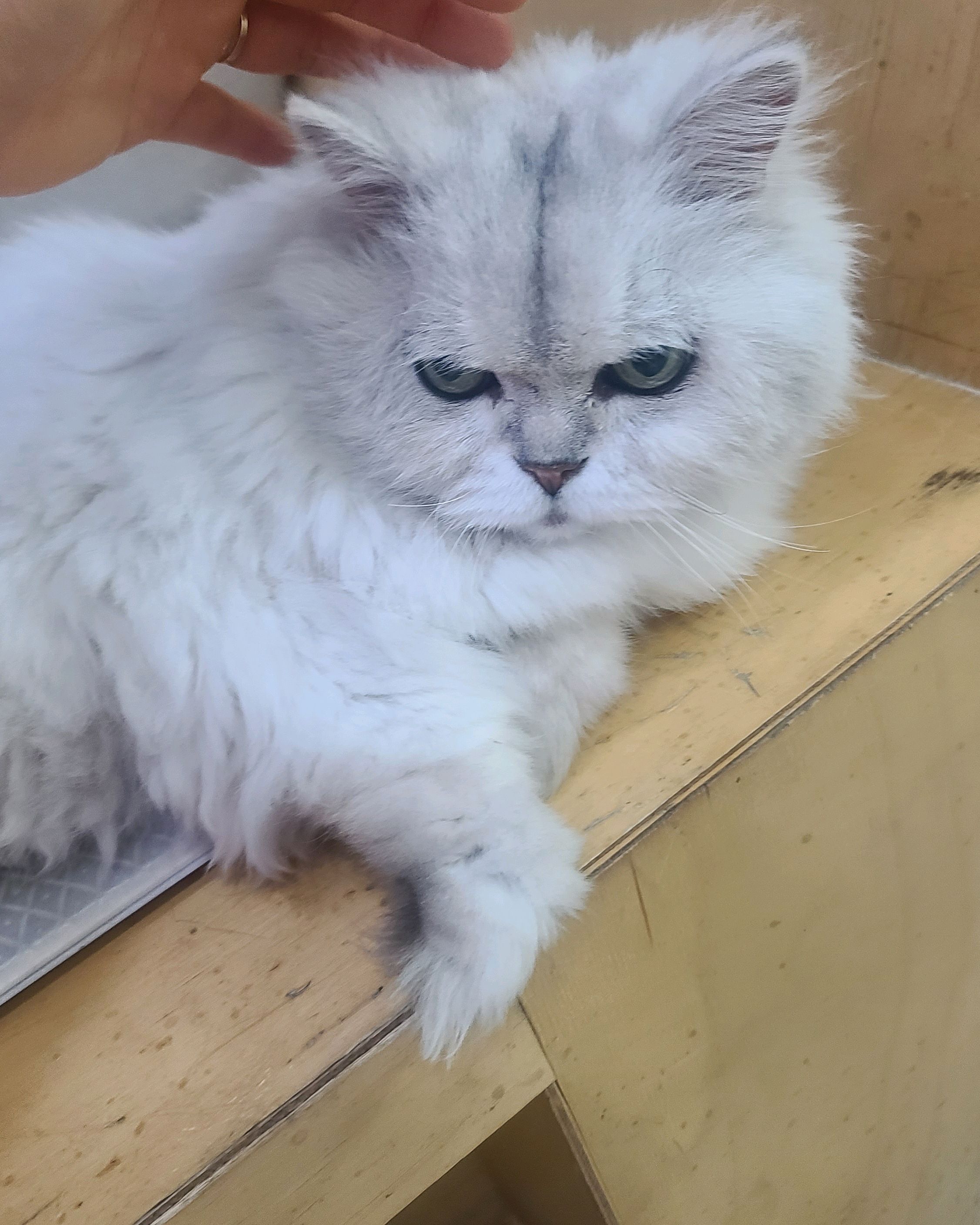리뷰 사진 8