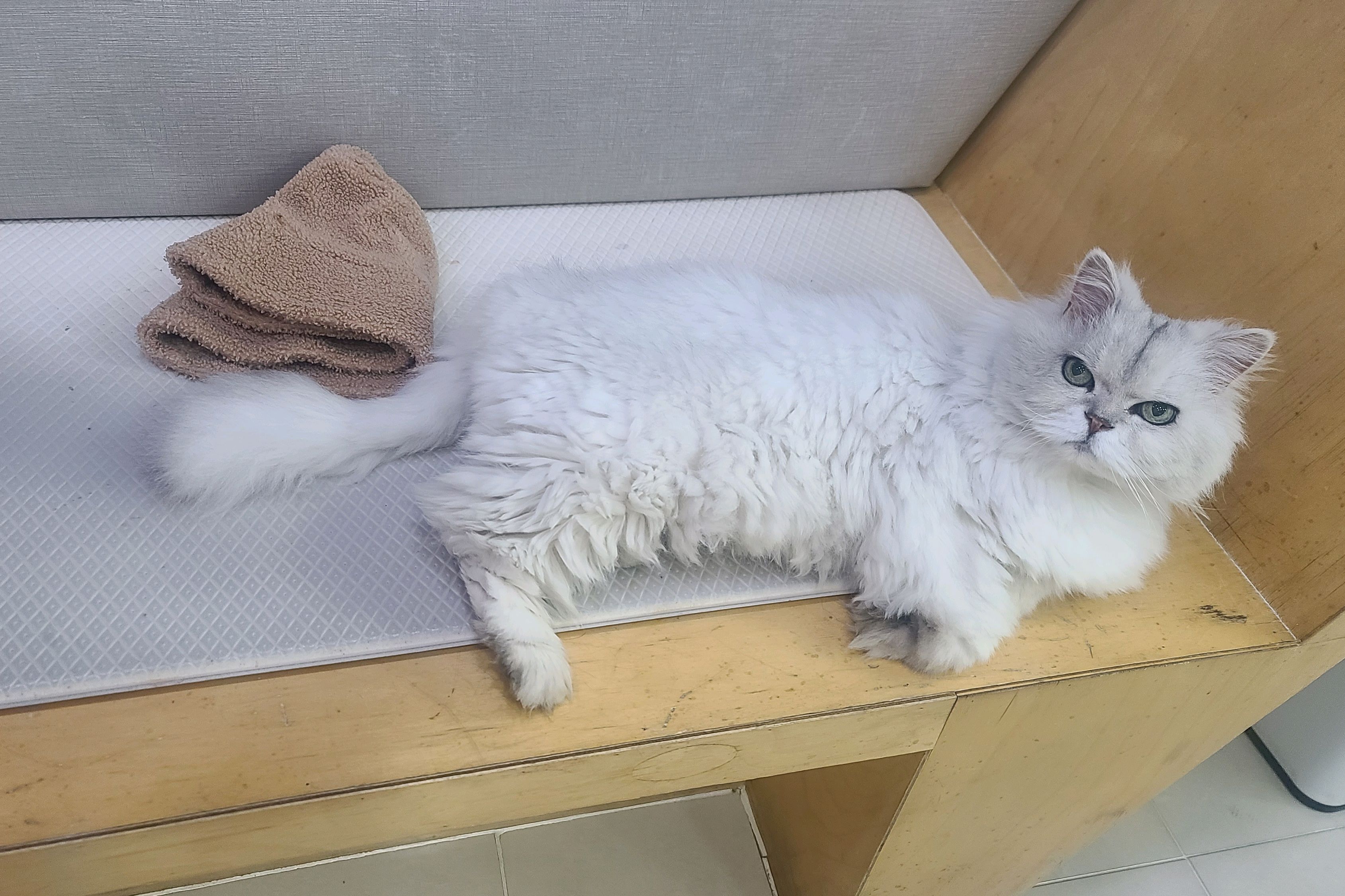 리뷰 사진 7