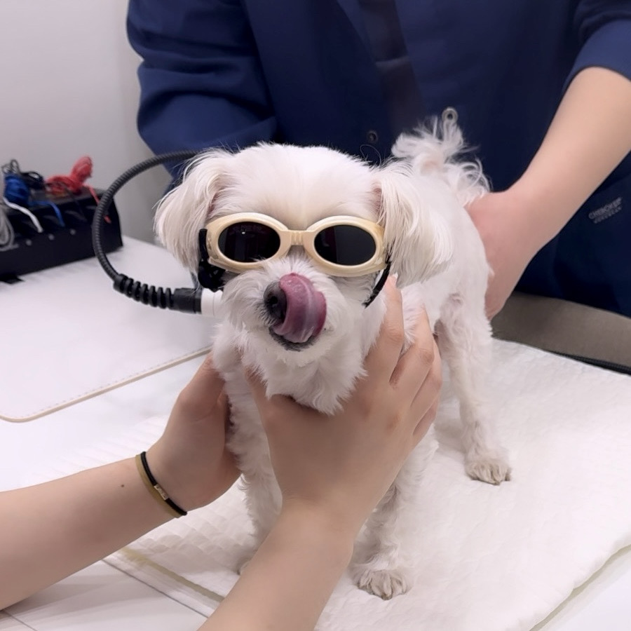 리뷰 사진 1
