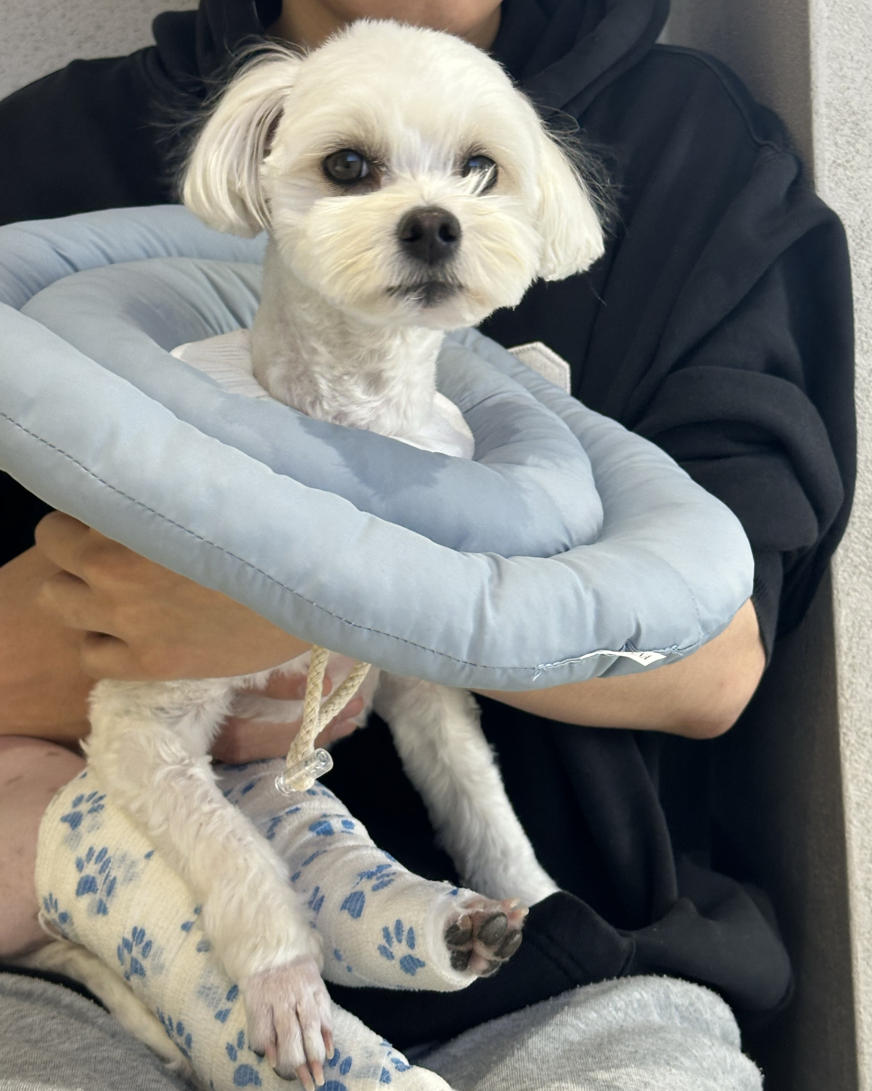 리뷰 사진 2