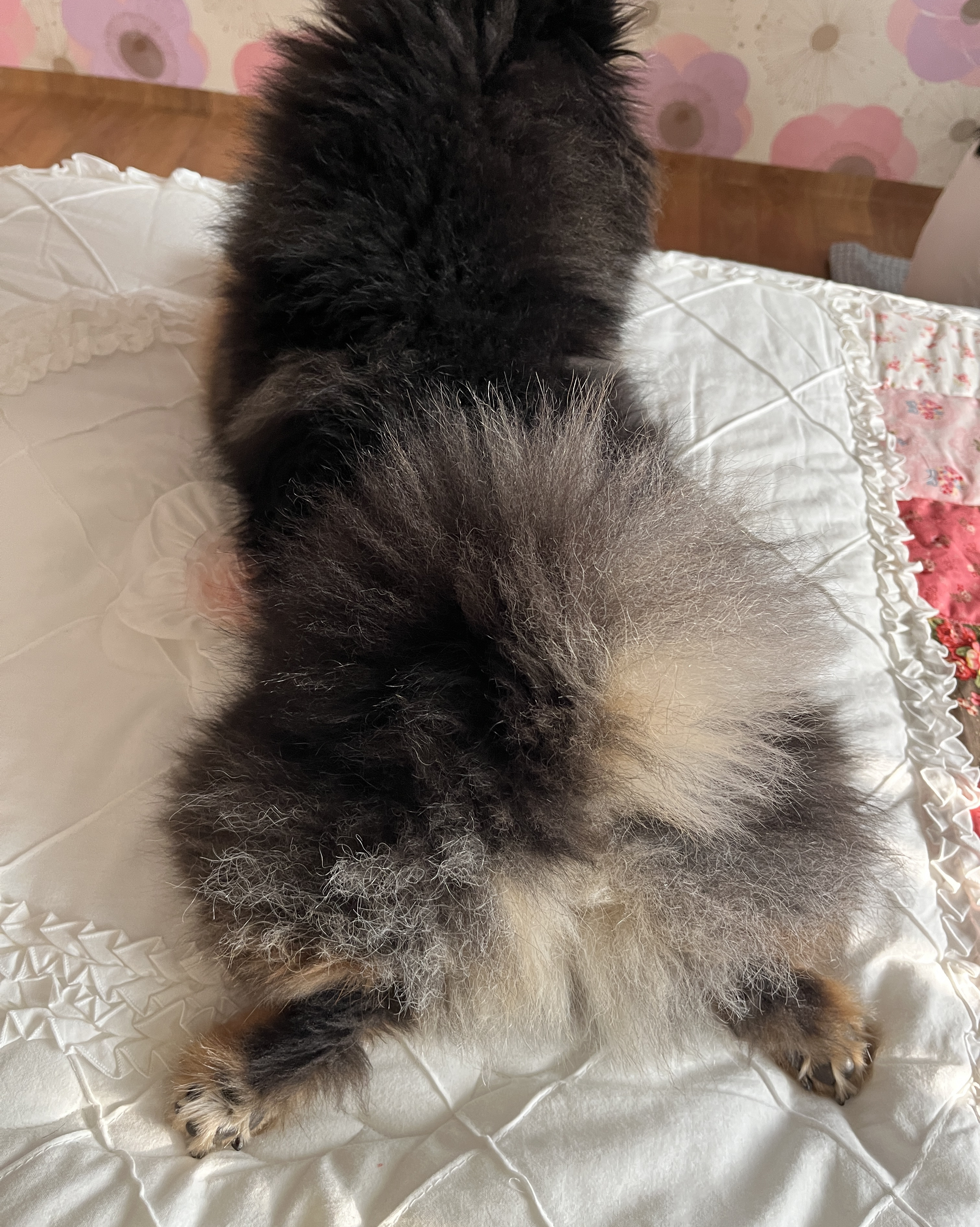리뷰 사진 1