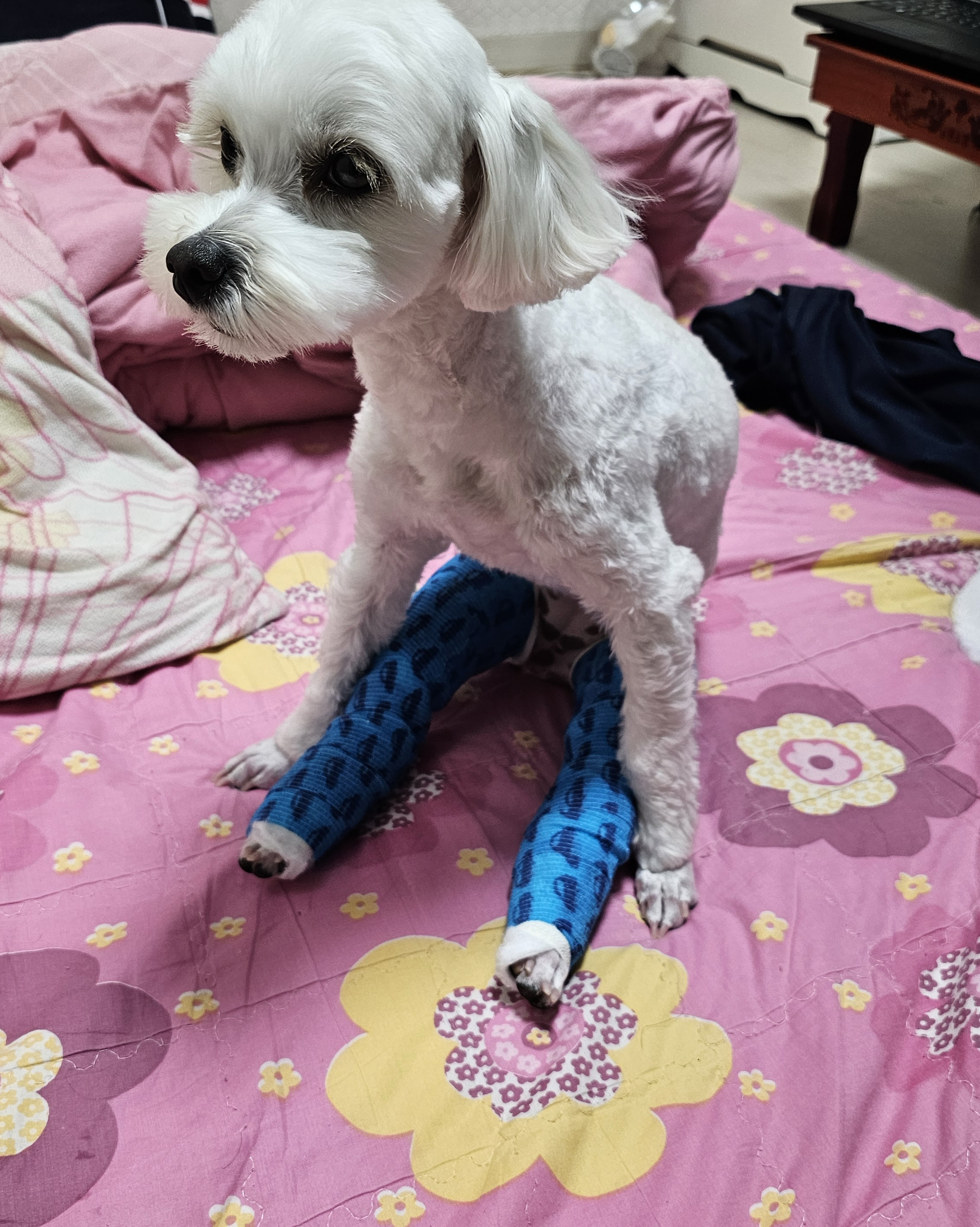 리뷰 사진 1