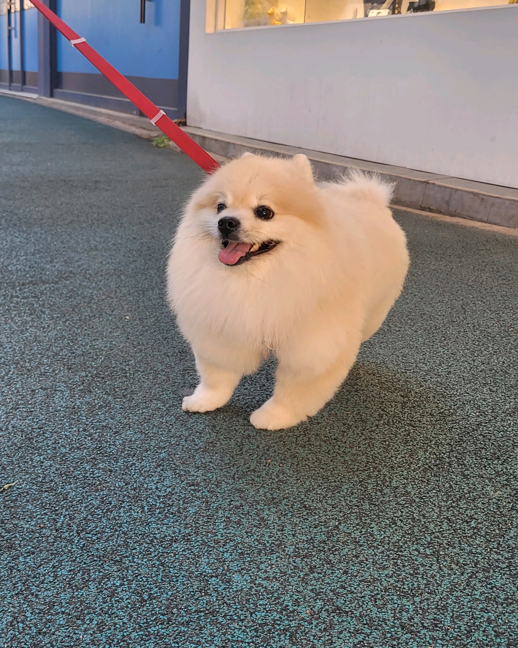 리뷰 사진 1