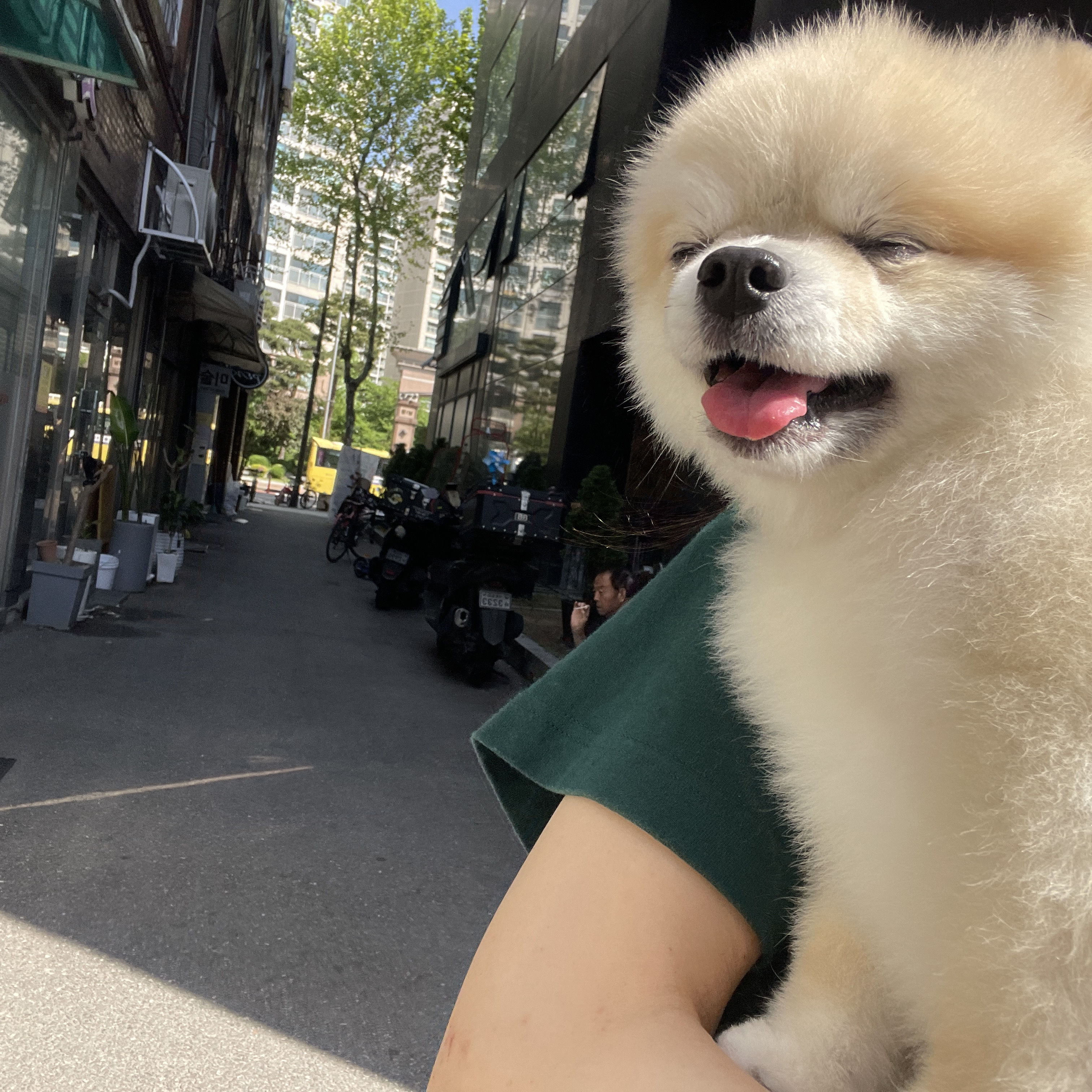 리뷰 사진 1
