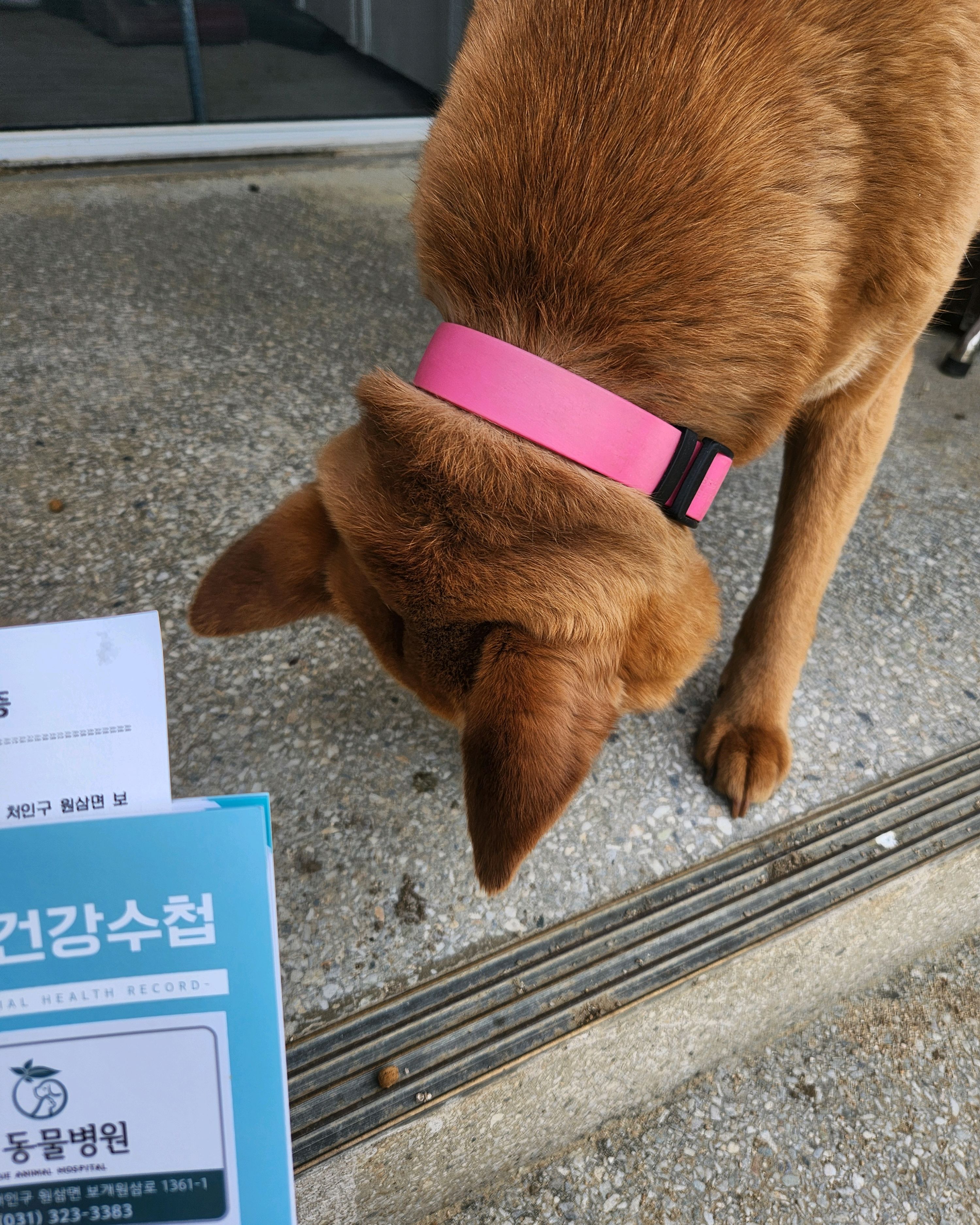 리뷰 사진 1