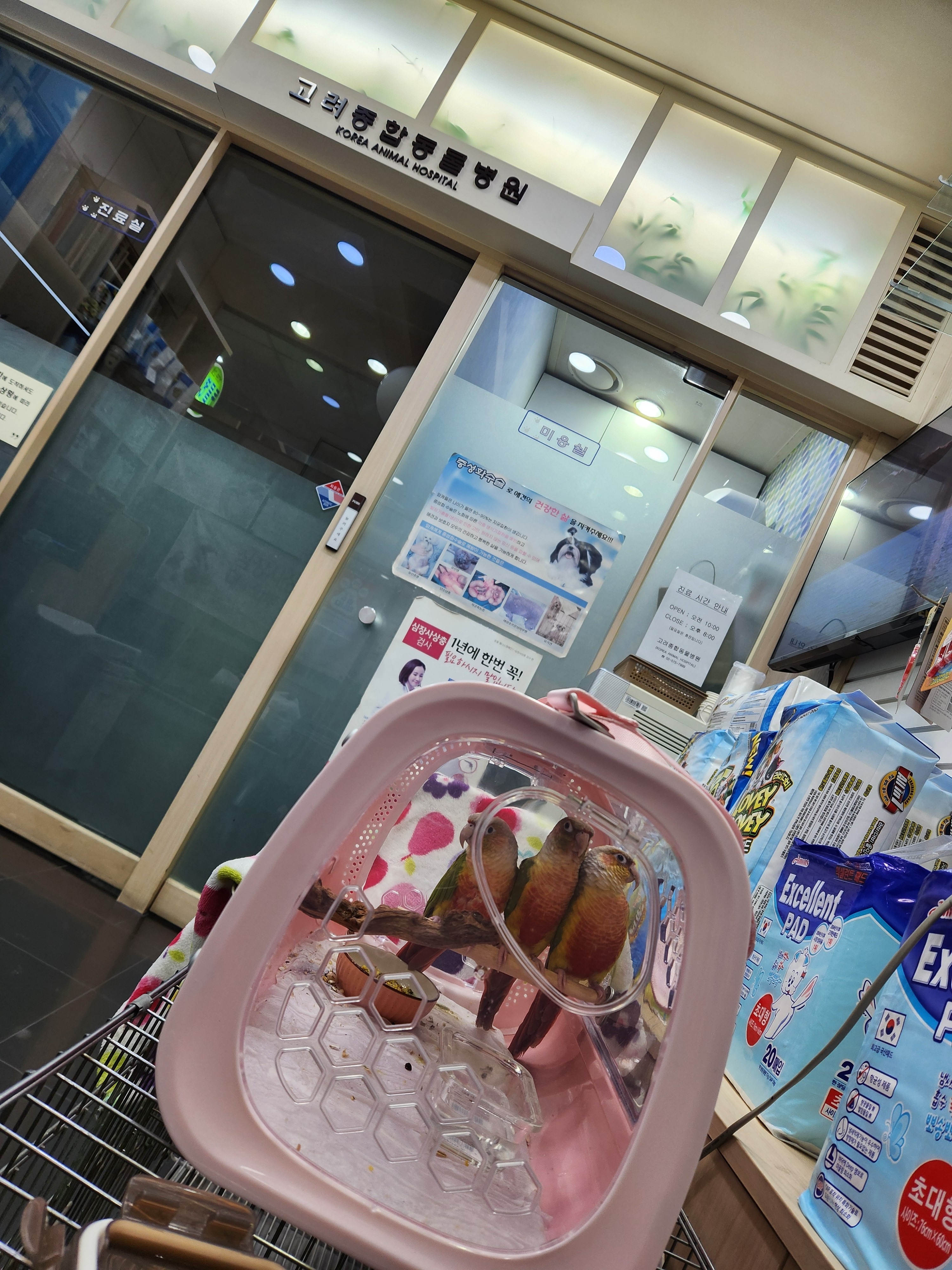 리뷰 사진 1