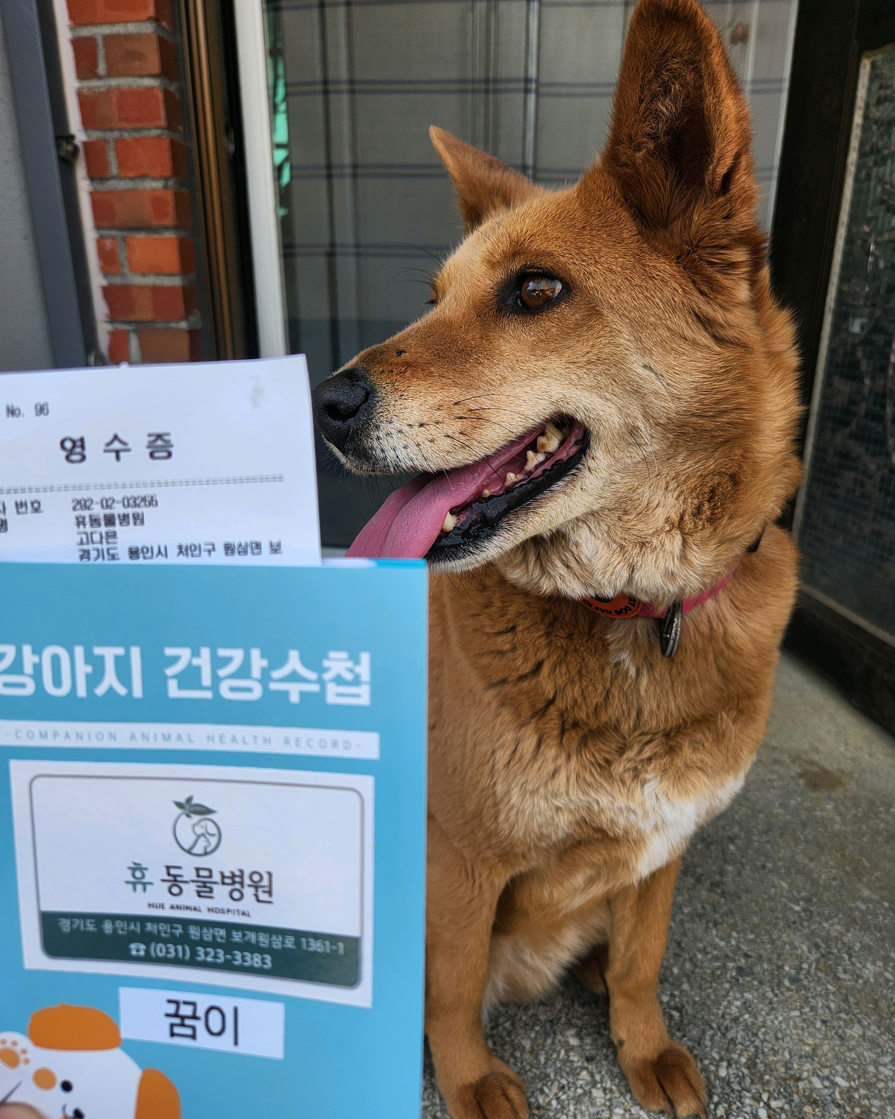 리뷰 사진 2