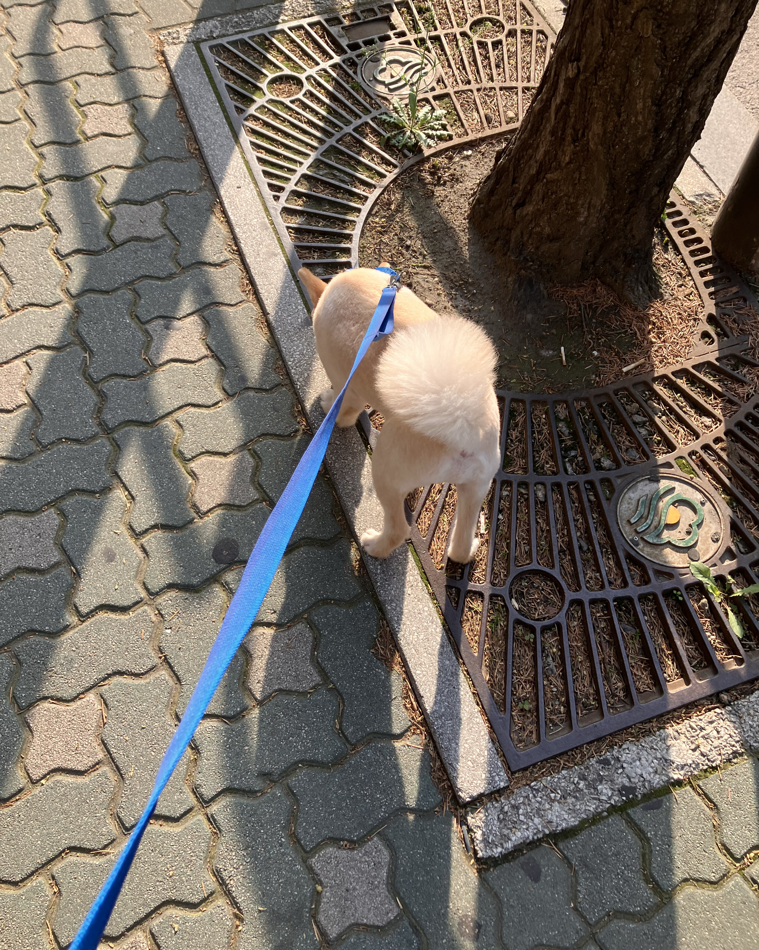 리뷰 사진 1