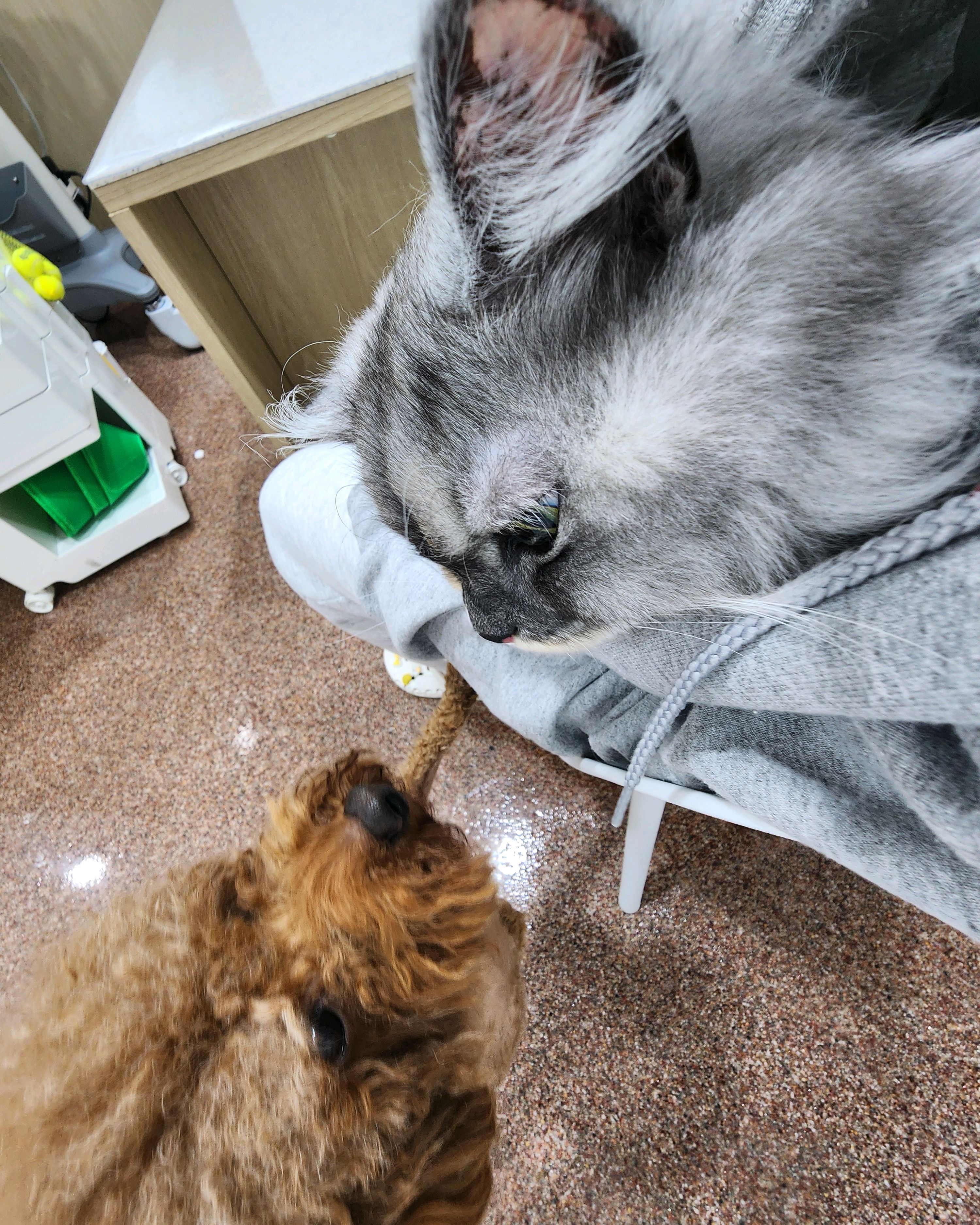 리뷰 사진 2