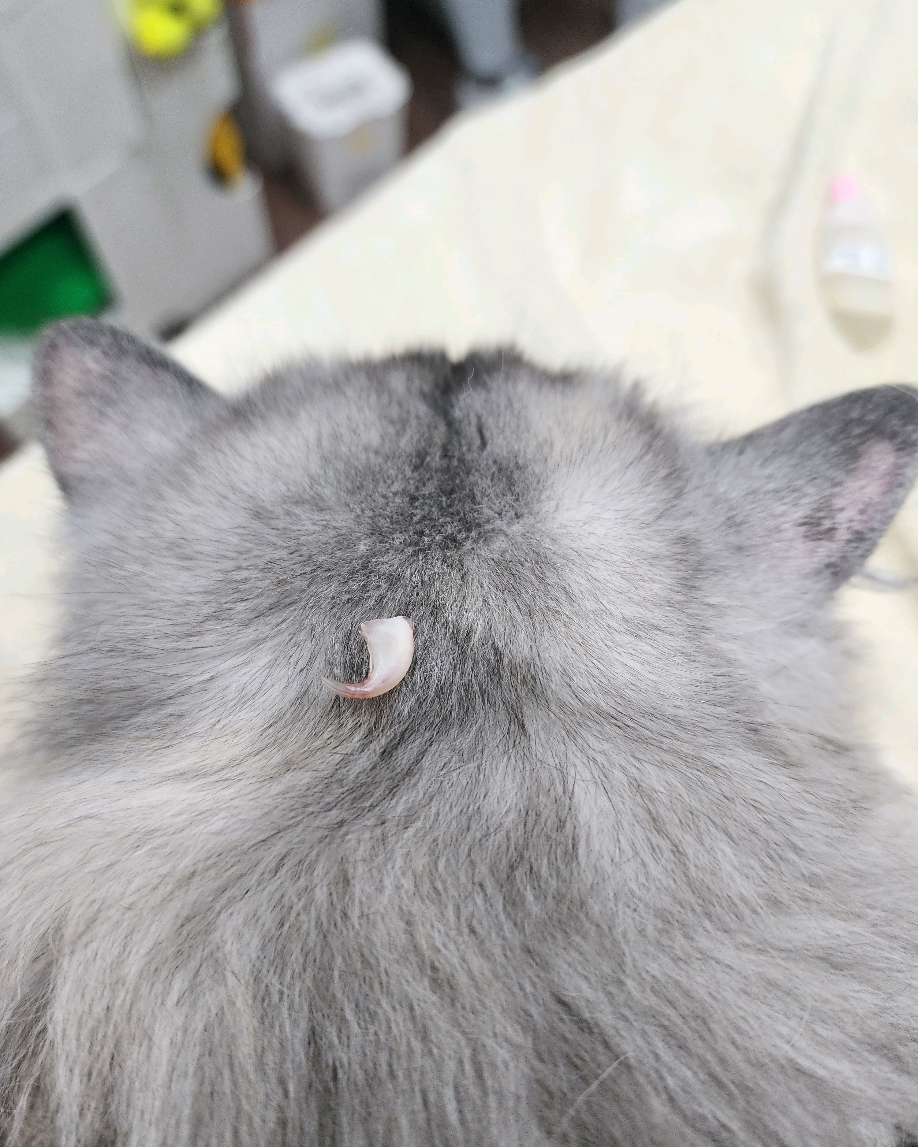리뷰 사진 3