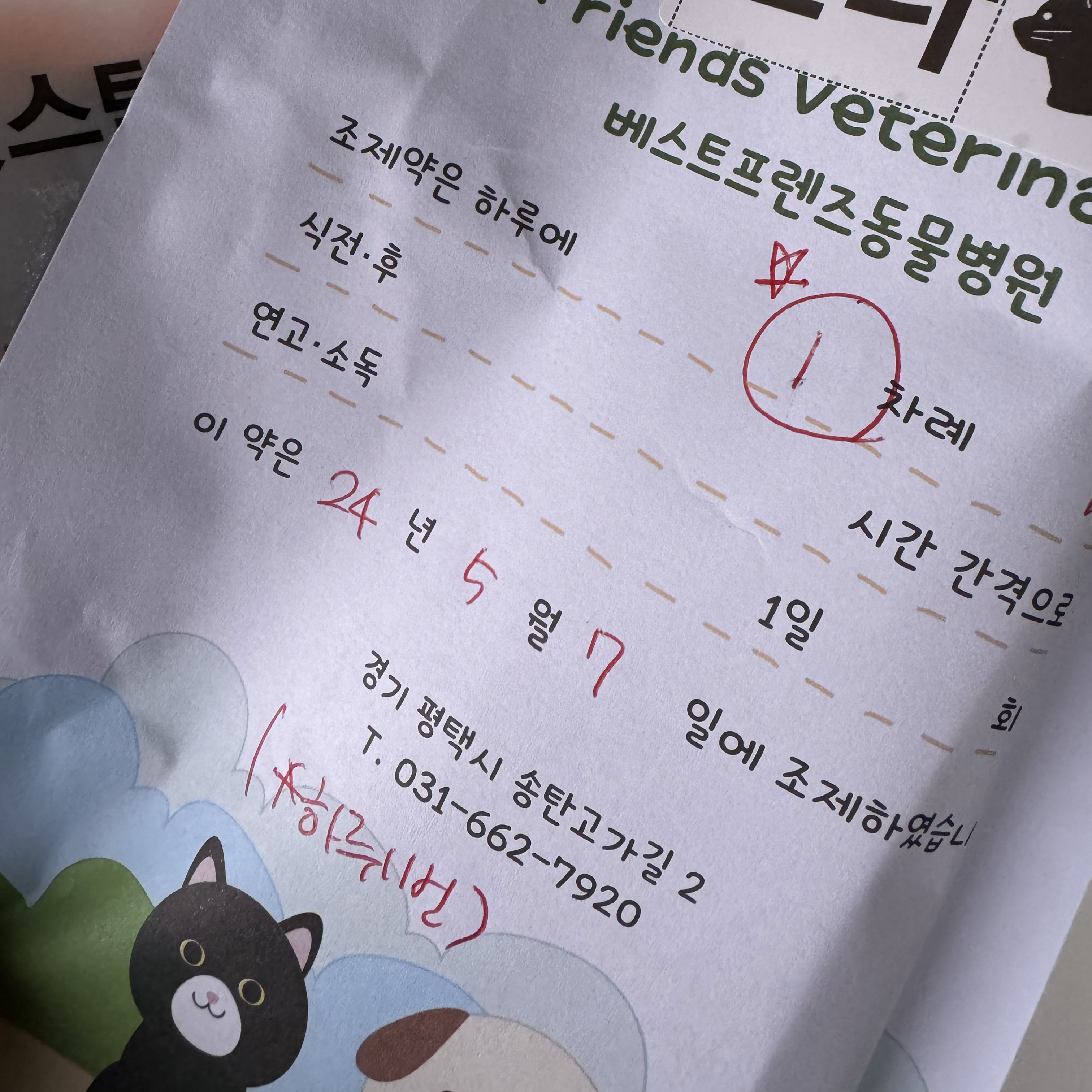 리뷰 사진 2