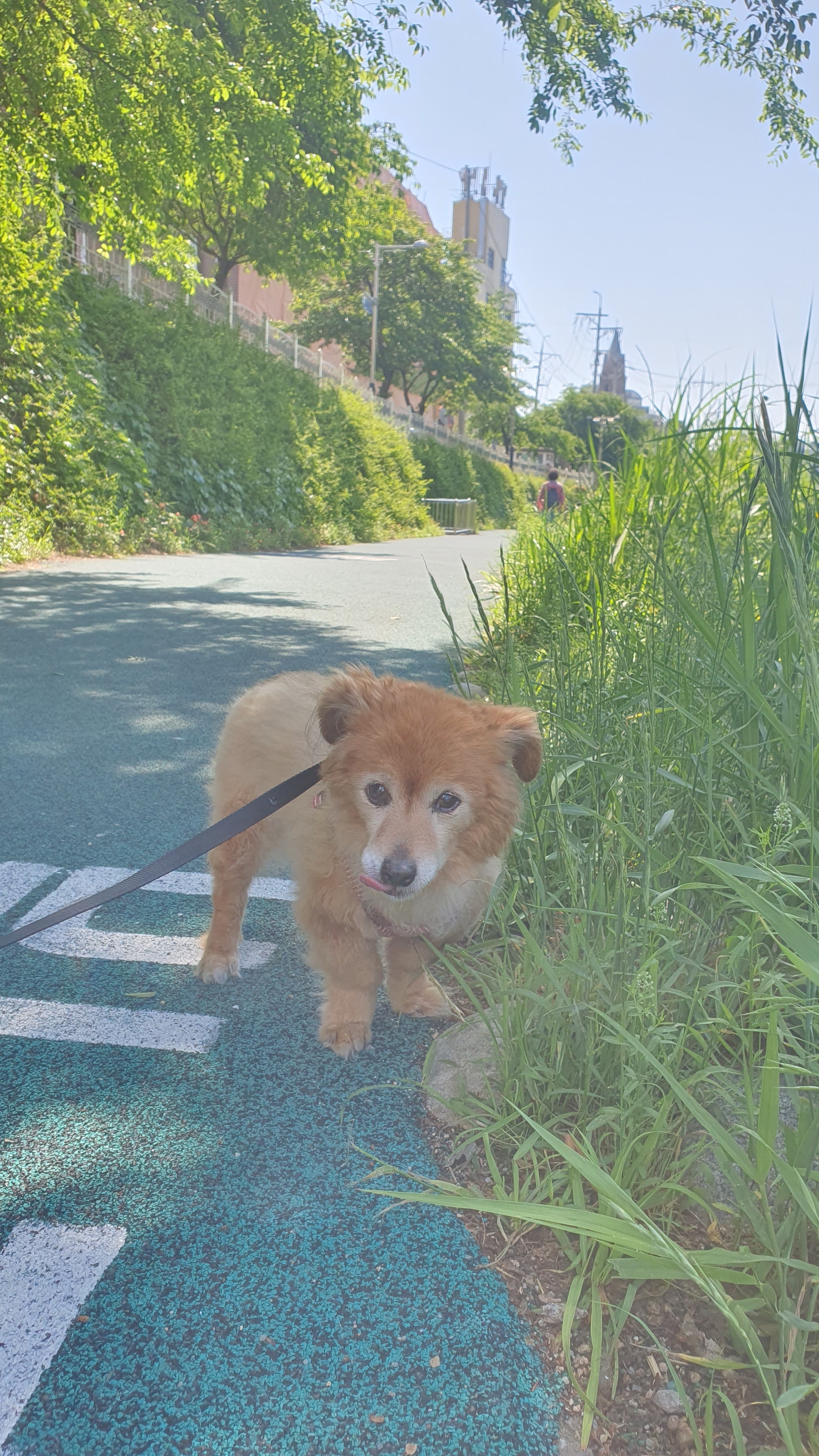 리뷰 사진 2