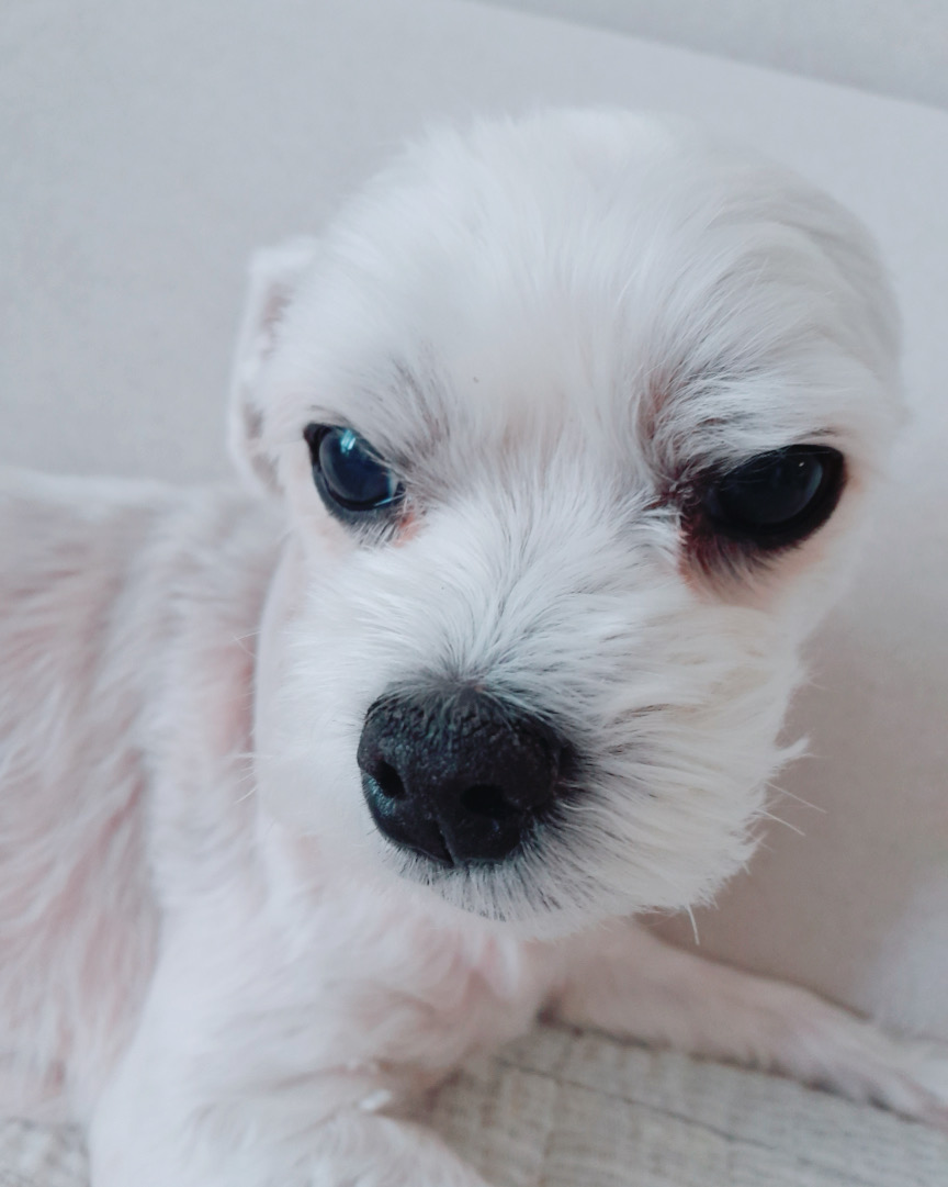 리뷰 사진 1