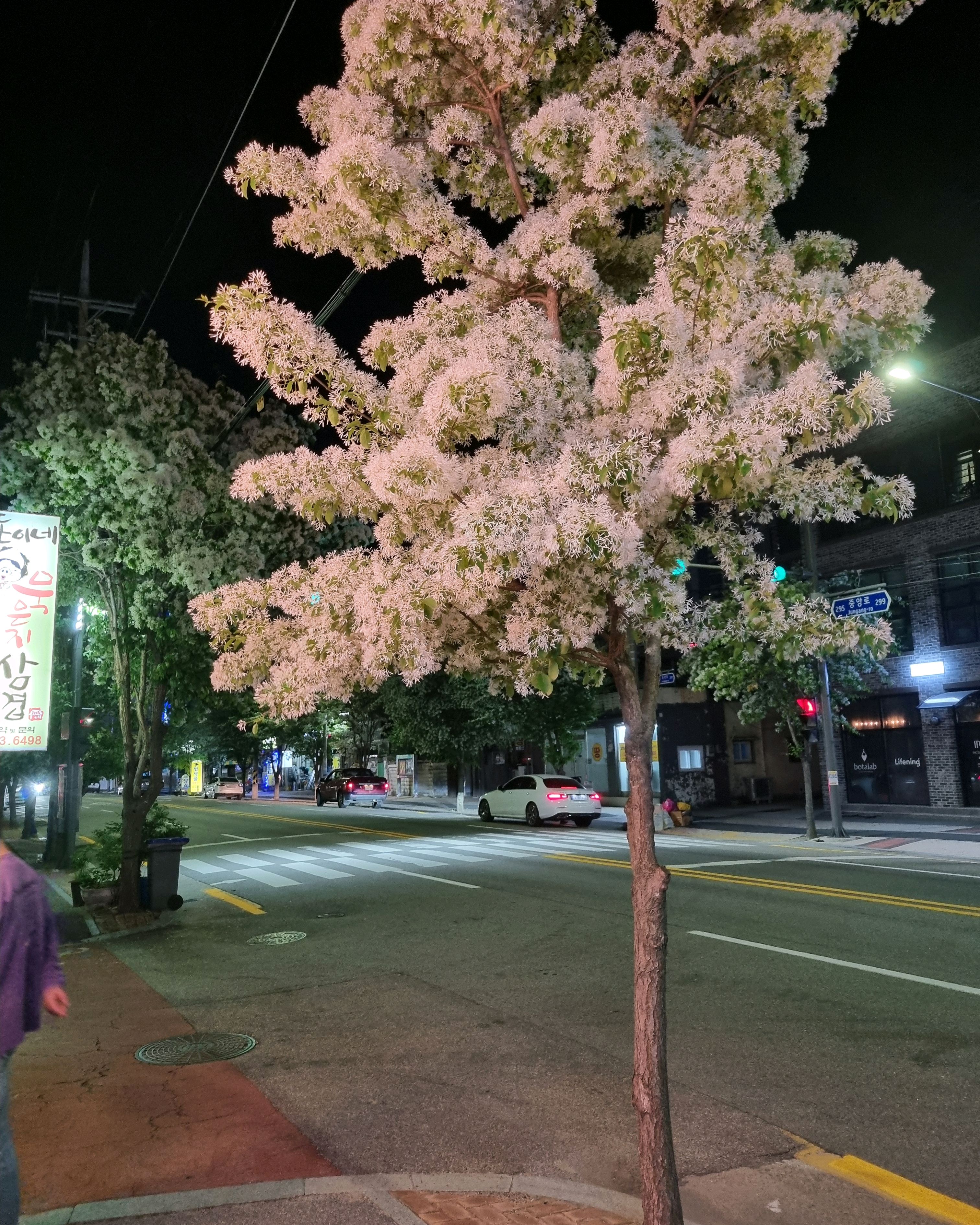 [속초 술집 아프리카] 직접 가본 로컬 리뷰