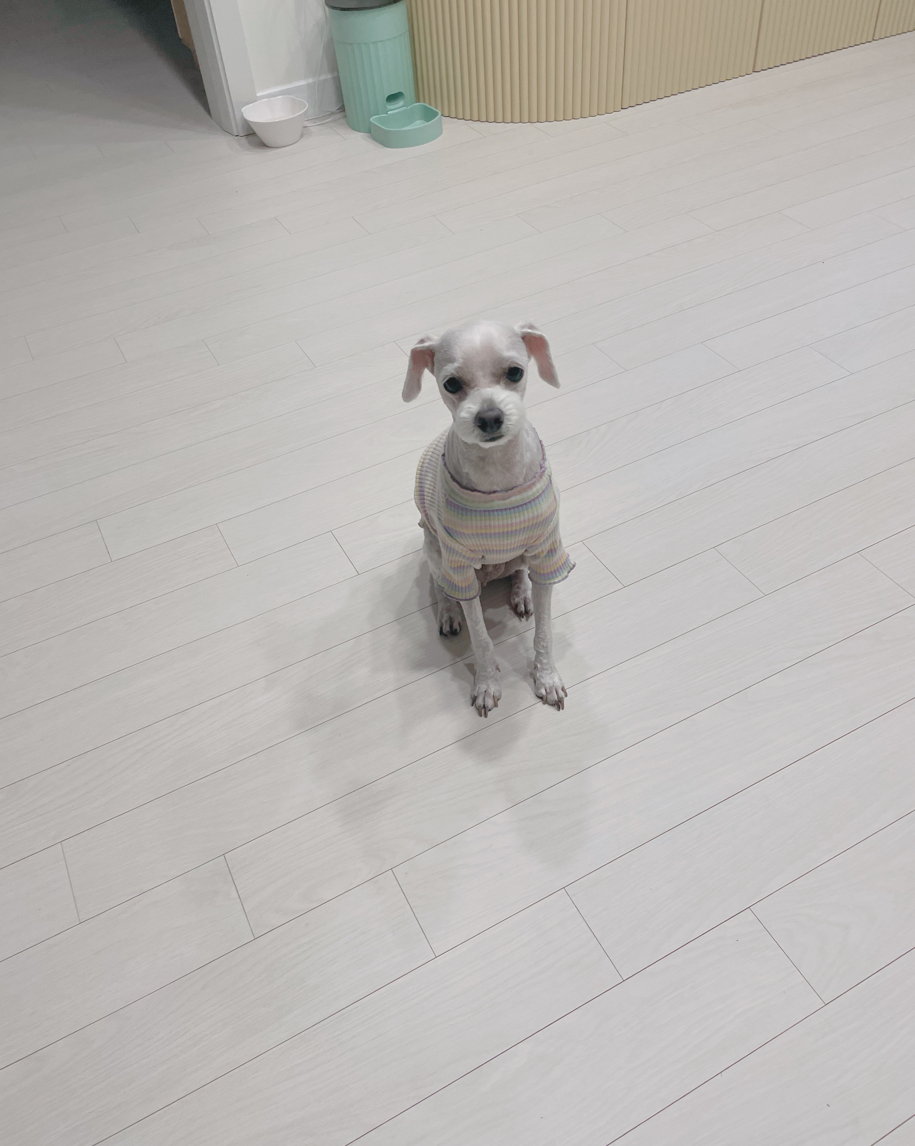 리뷰 사진 1
