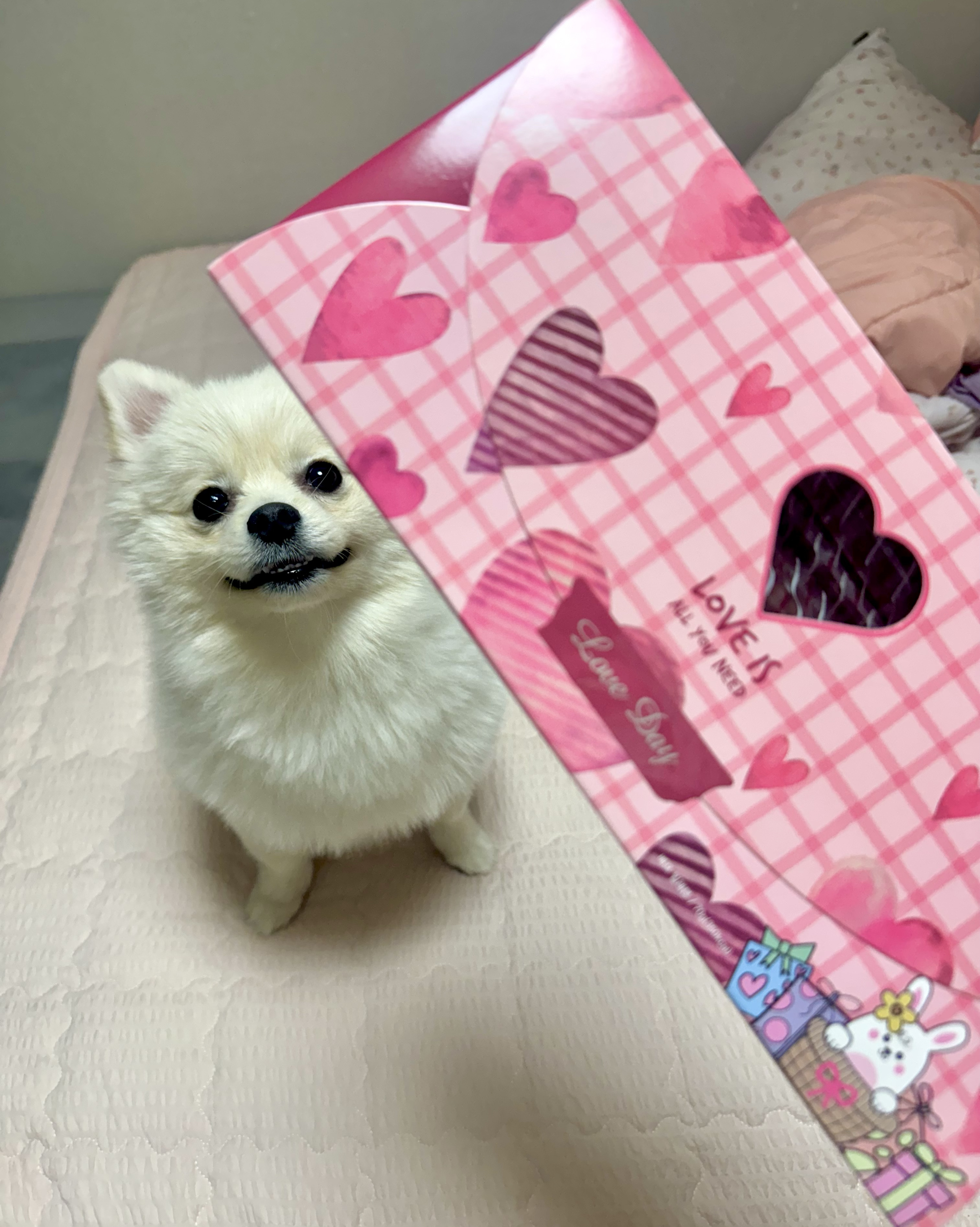 리뷰 사진 2