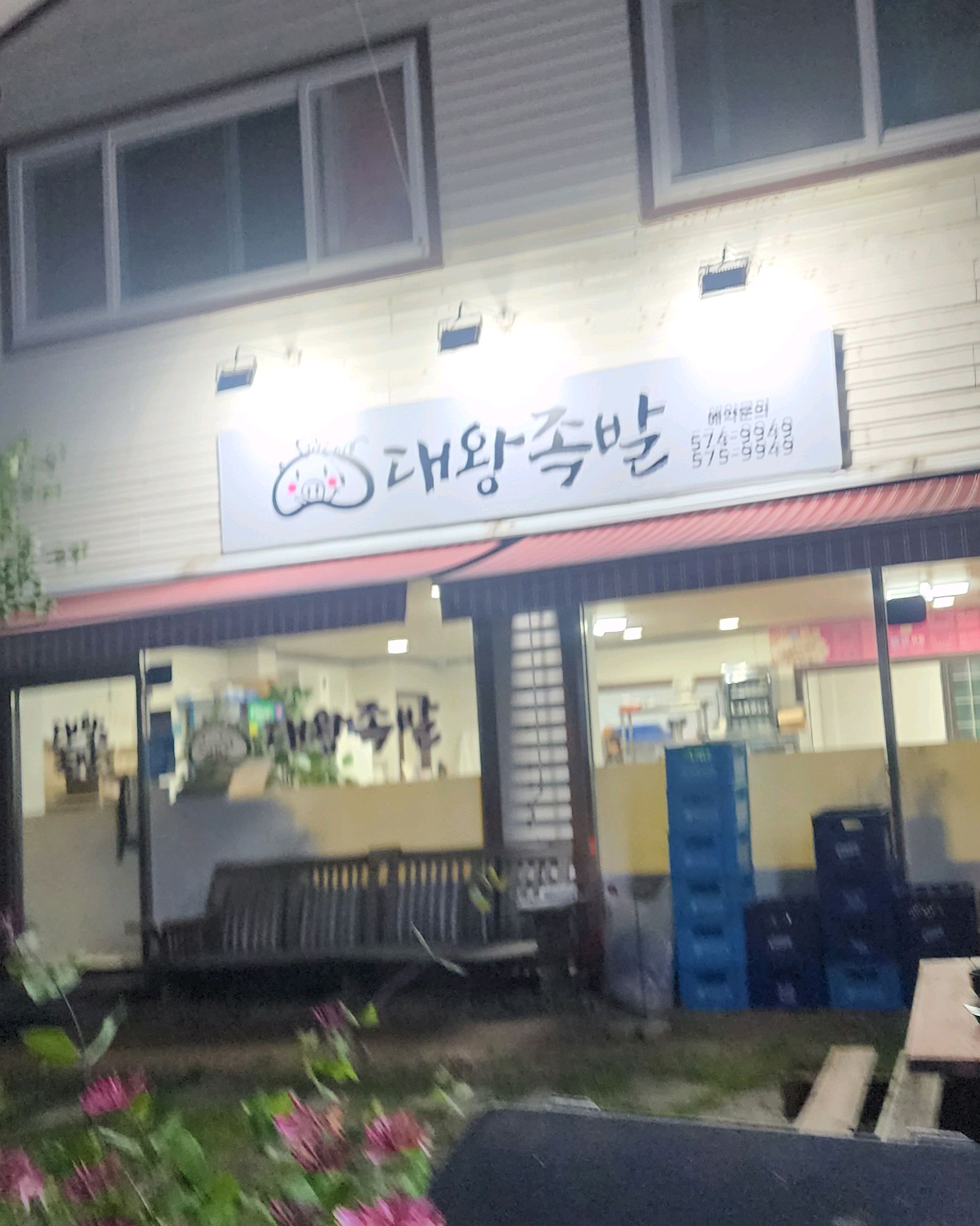 [삼척 맛집 대왕족발] 직접 가본 로컬 리뷰
