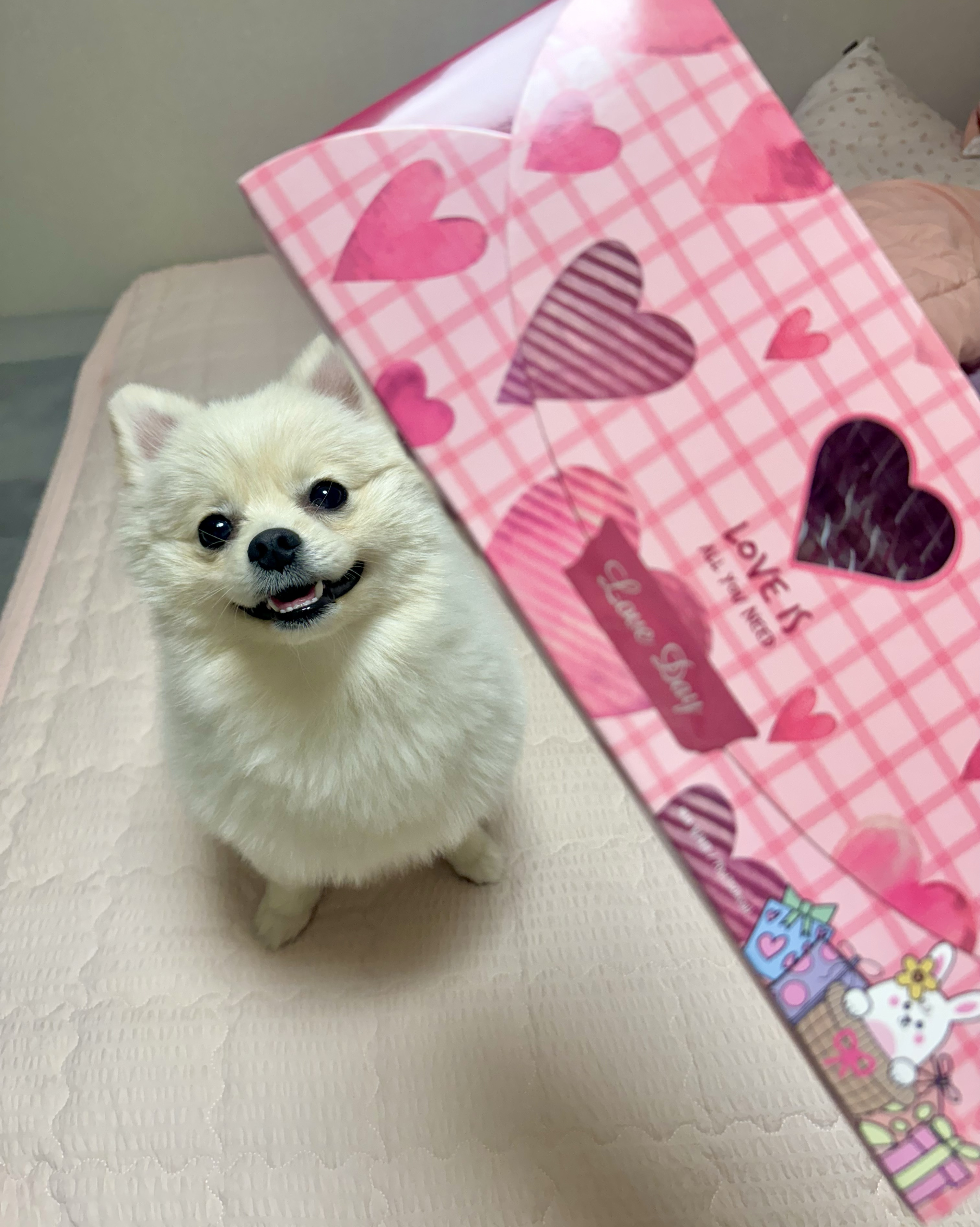 리뷰 사진 1